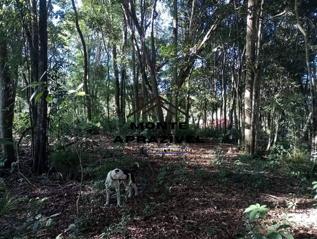 Terreno à venda, 5000m² - Foto 6