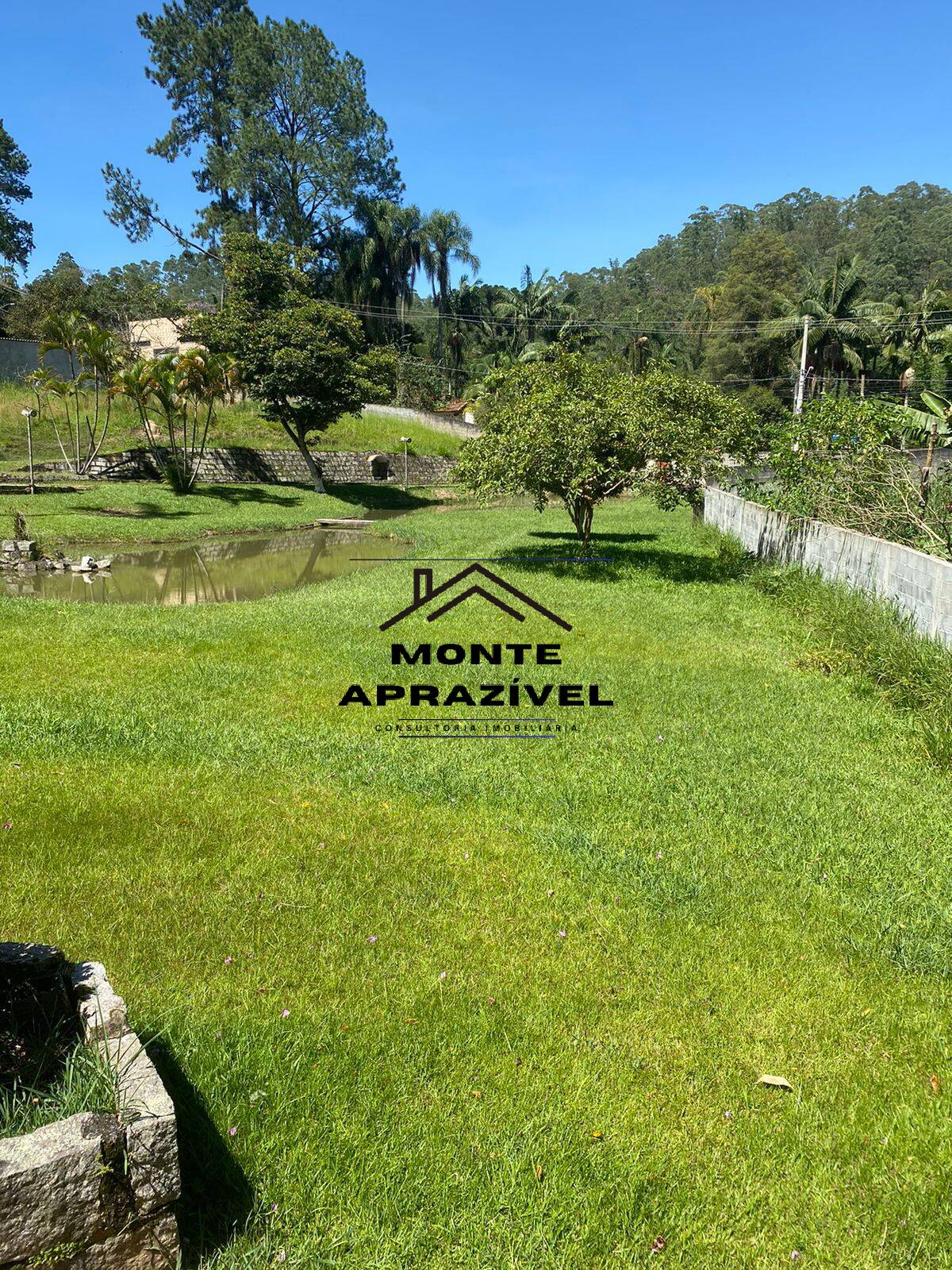 Fazenda à venda com 2 quartos, 5000m² - Foto 6