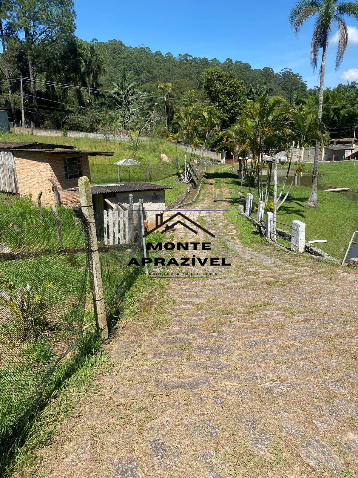 Fazenda à venda com 2 quartos, 5000m² - Foto 50