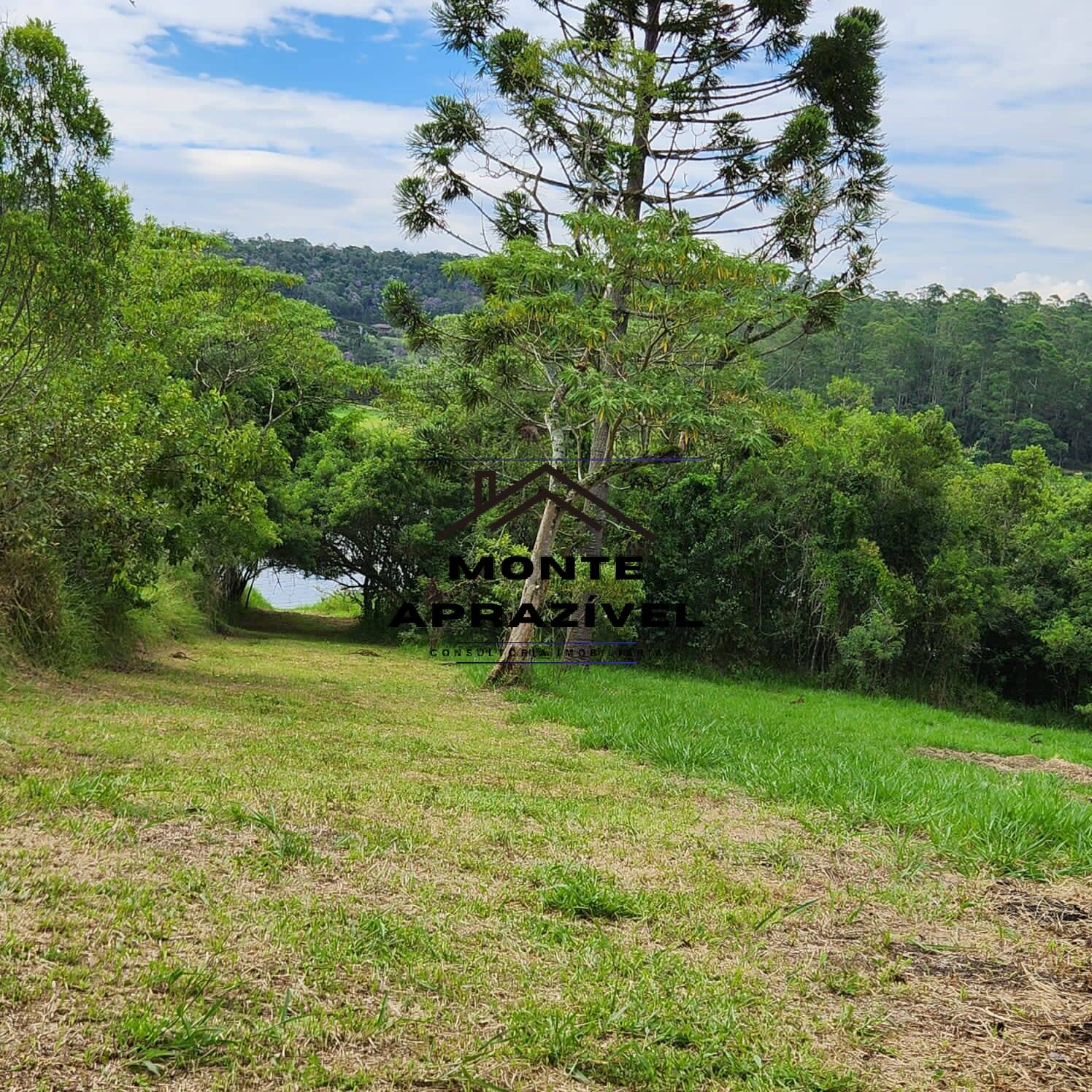 Fazenda à venda com 4 quartos, 5400m² - Foto 27