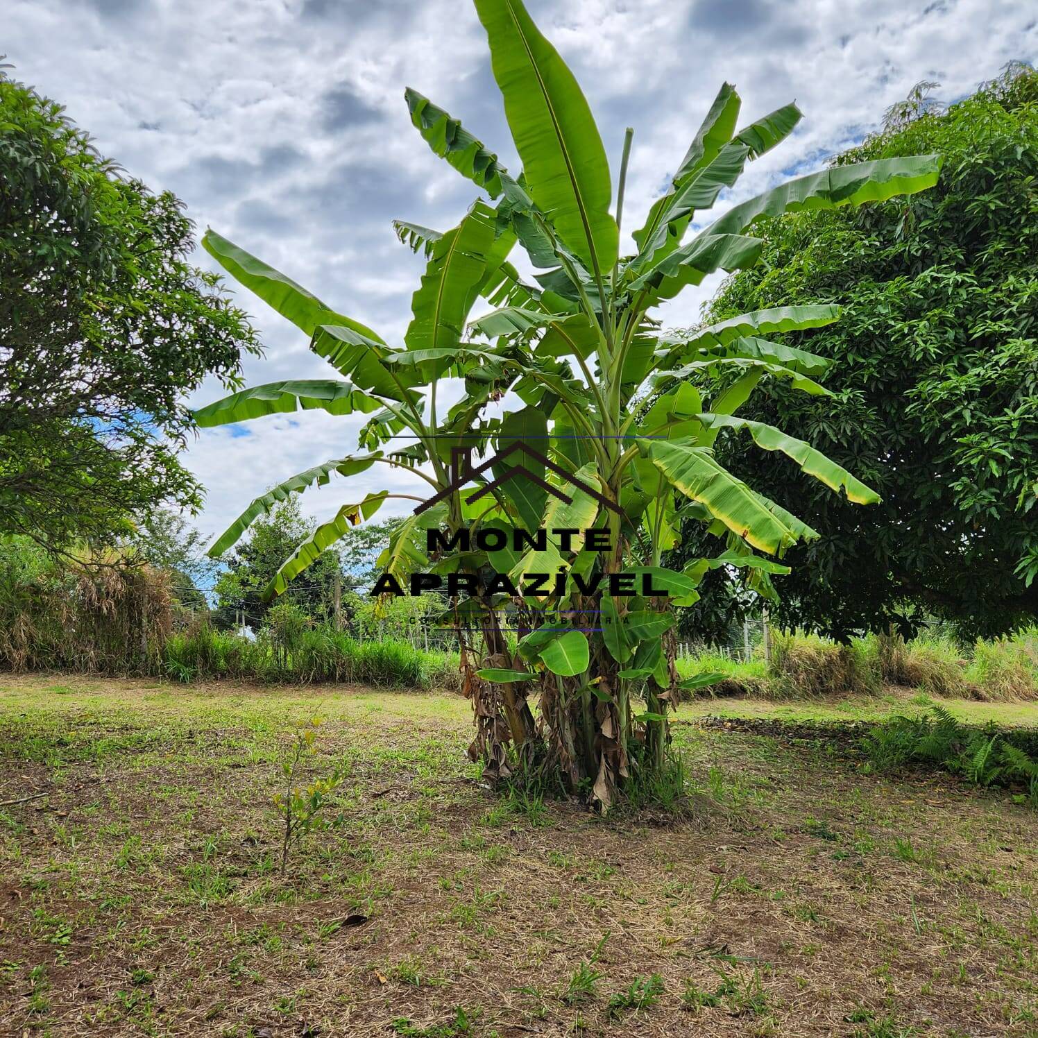 Fazenda à venda com 4 quartos, 5400m² - Foto 38