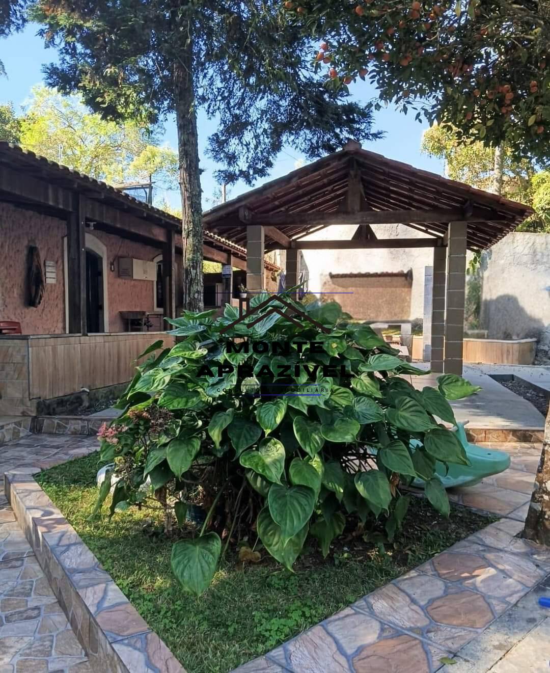 Fazenda à venda com 1 quarto, 1000m² - Foto 4