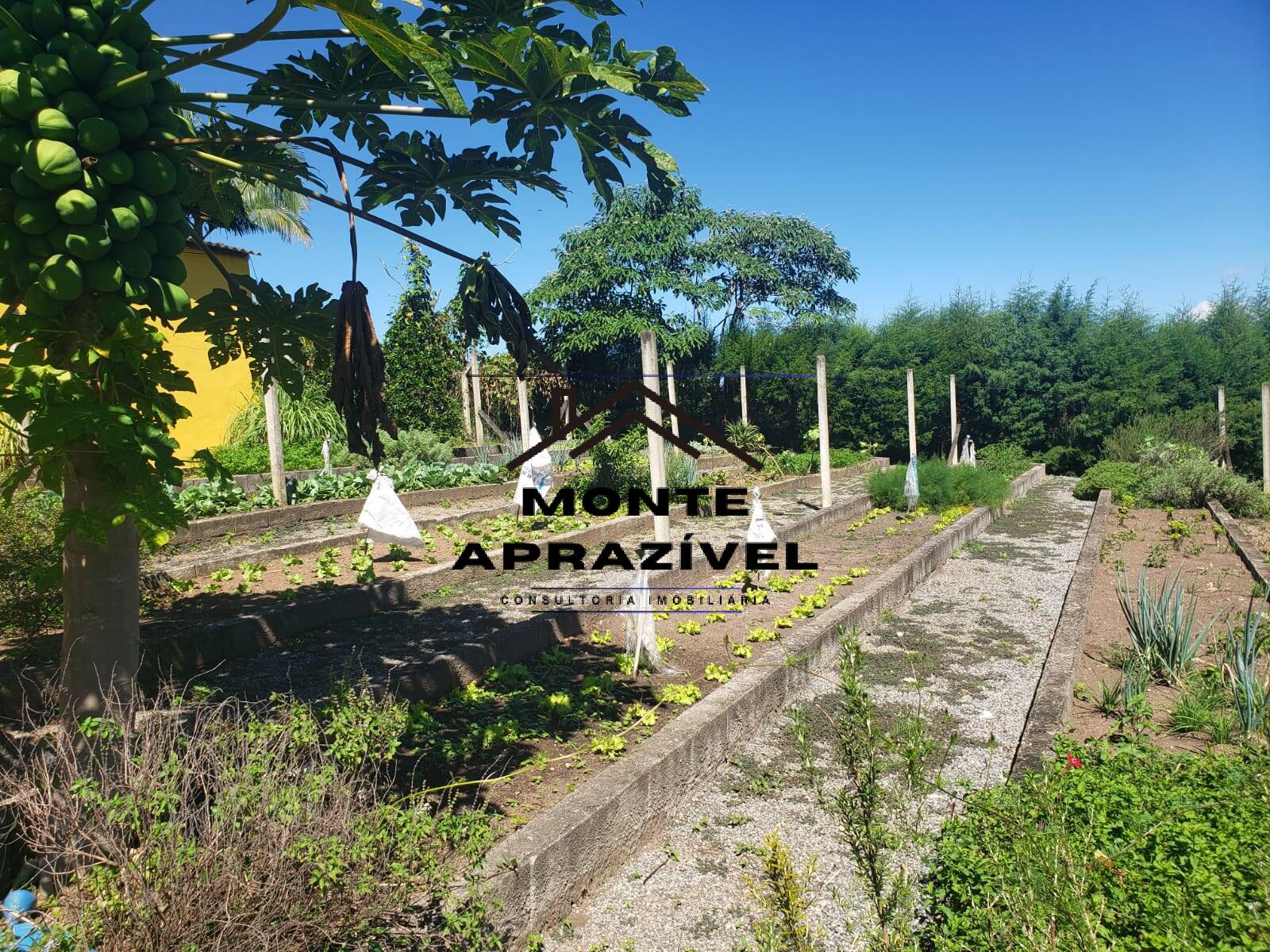 Fazenda à venda com 4 quartos, 36000m² - Foto 20