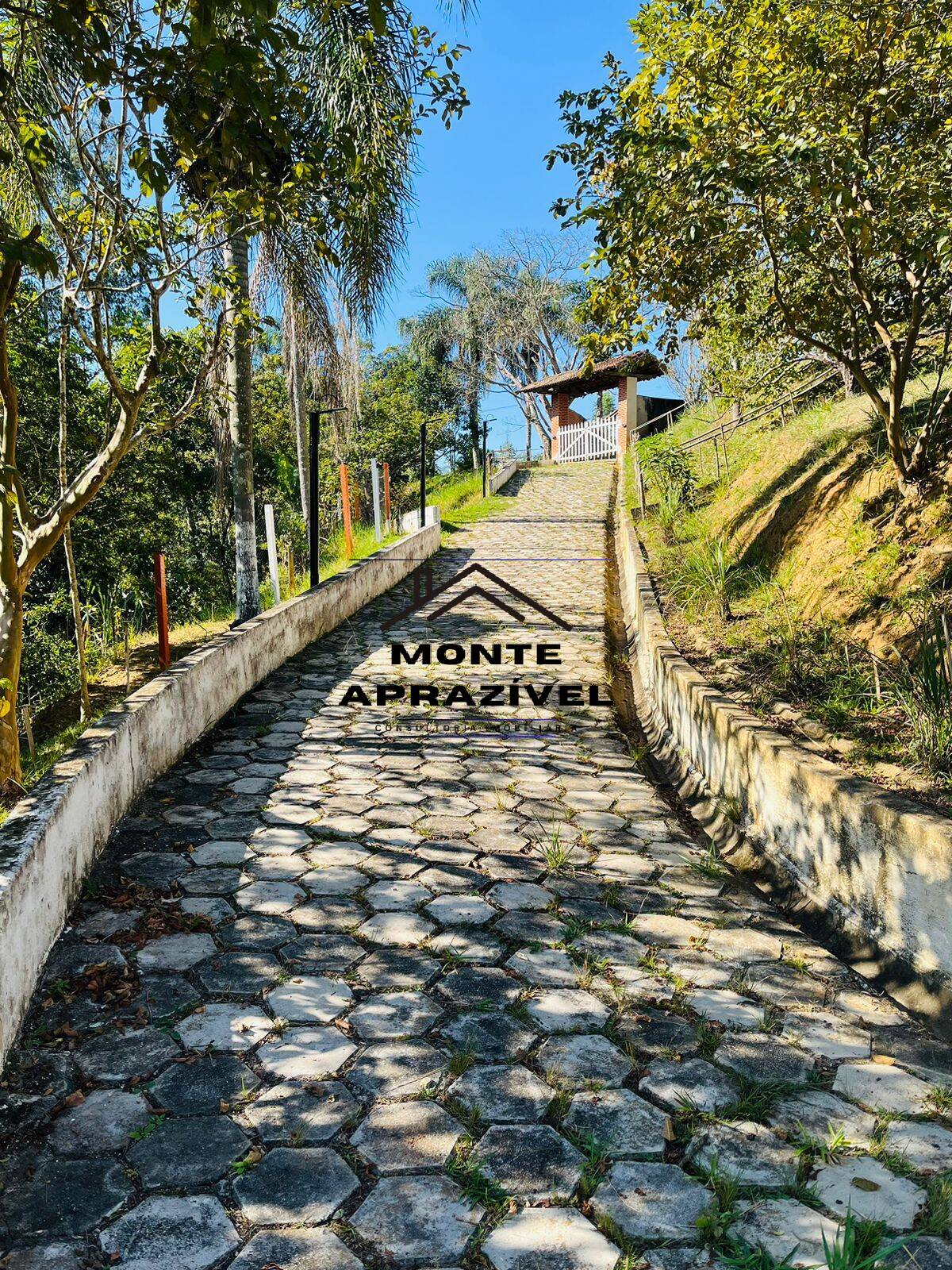 Fazenda à venda com 4 quartos, 12000m² - Foto 3