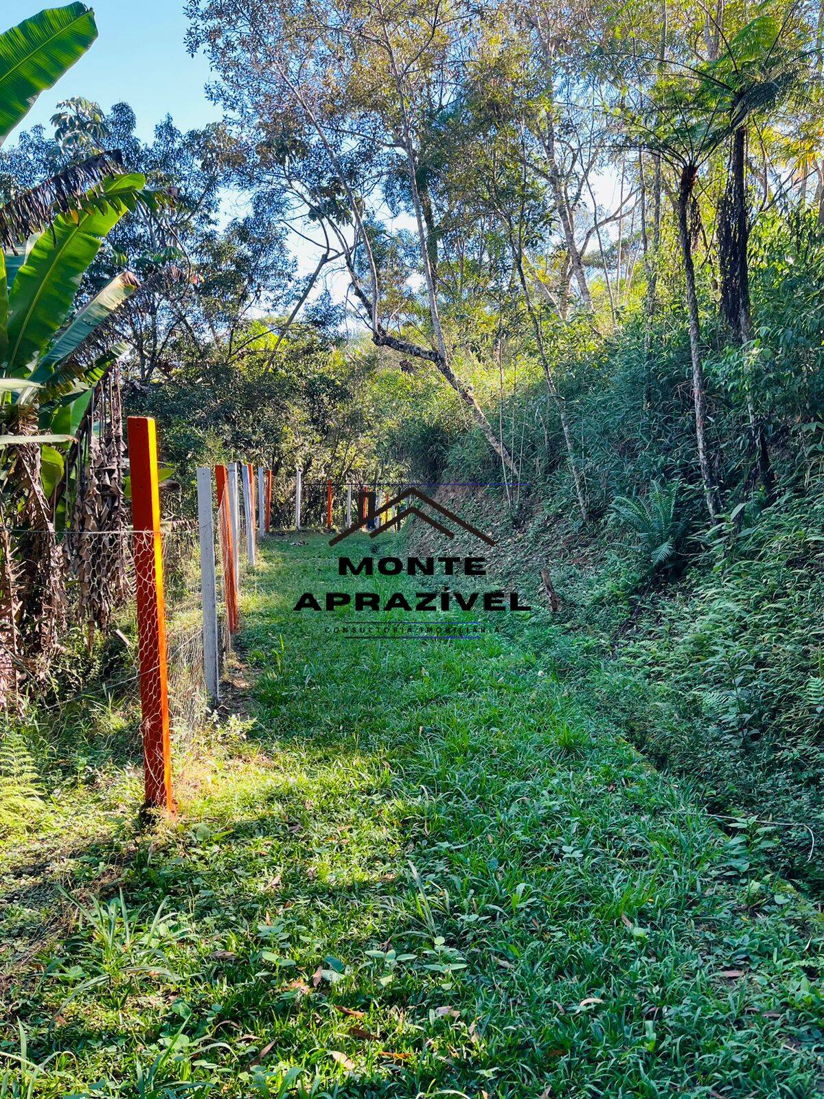 Fazenda à venda com 4 quartos, 12000m² - Foto 7