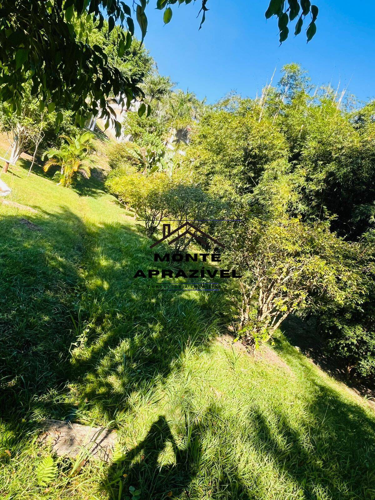 Fazenda à venda com 4 quartos, 12000m² - Foto 10