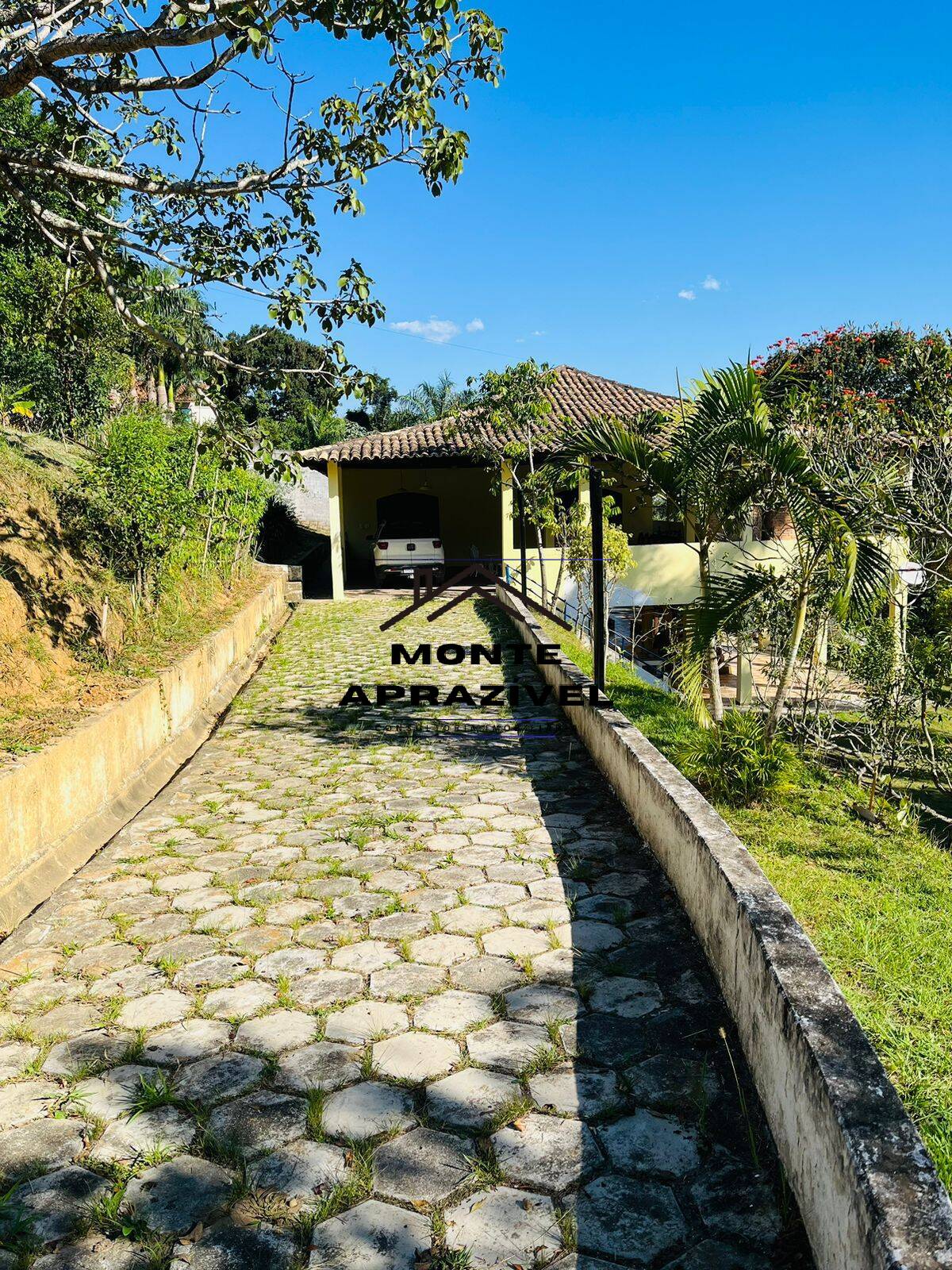 Fazenda à venda com 4 quartos, 12000m² - Foto 12