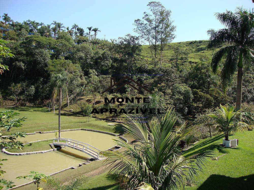 Fazenda à venda com 4 quartos, 12000m² - Foto 26