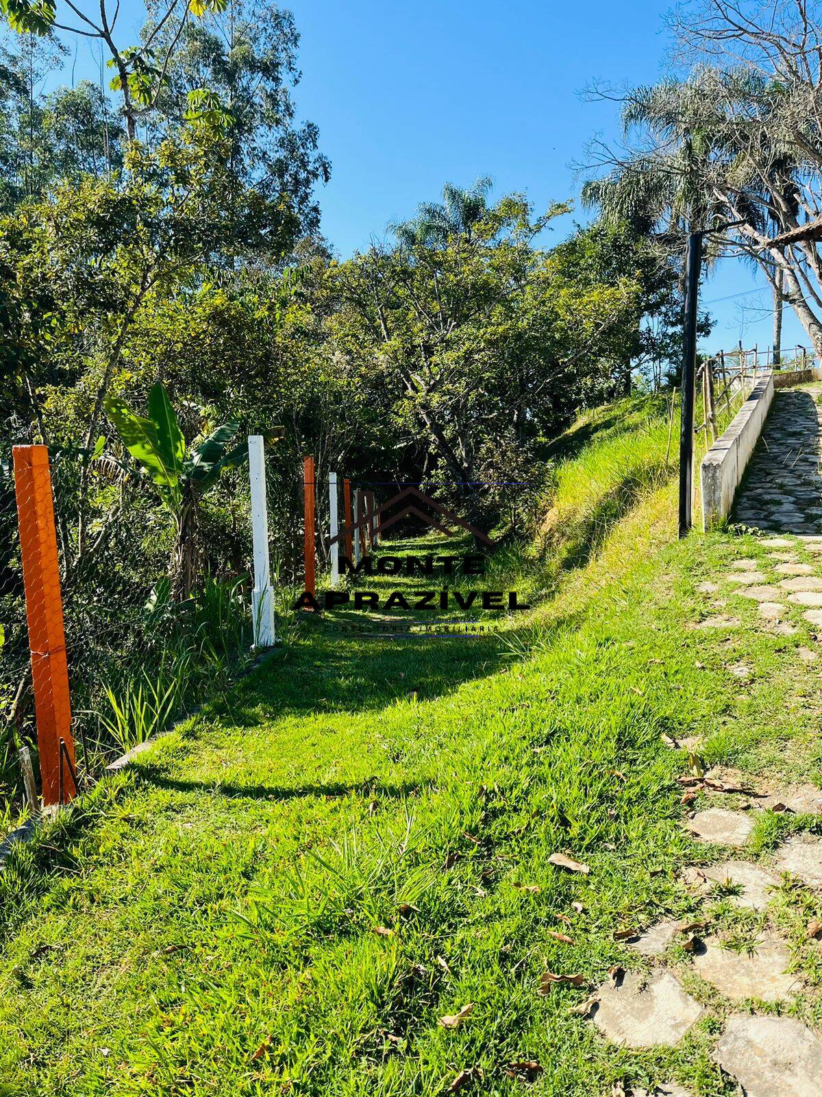 Fazenda à venda com 4 quartos, 12000m² - Foto 27