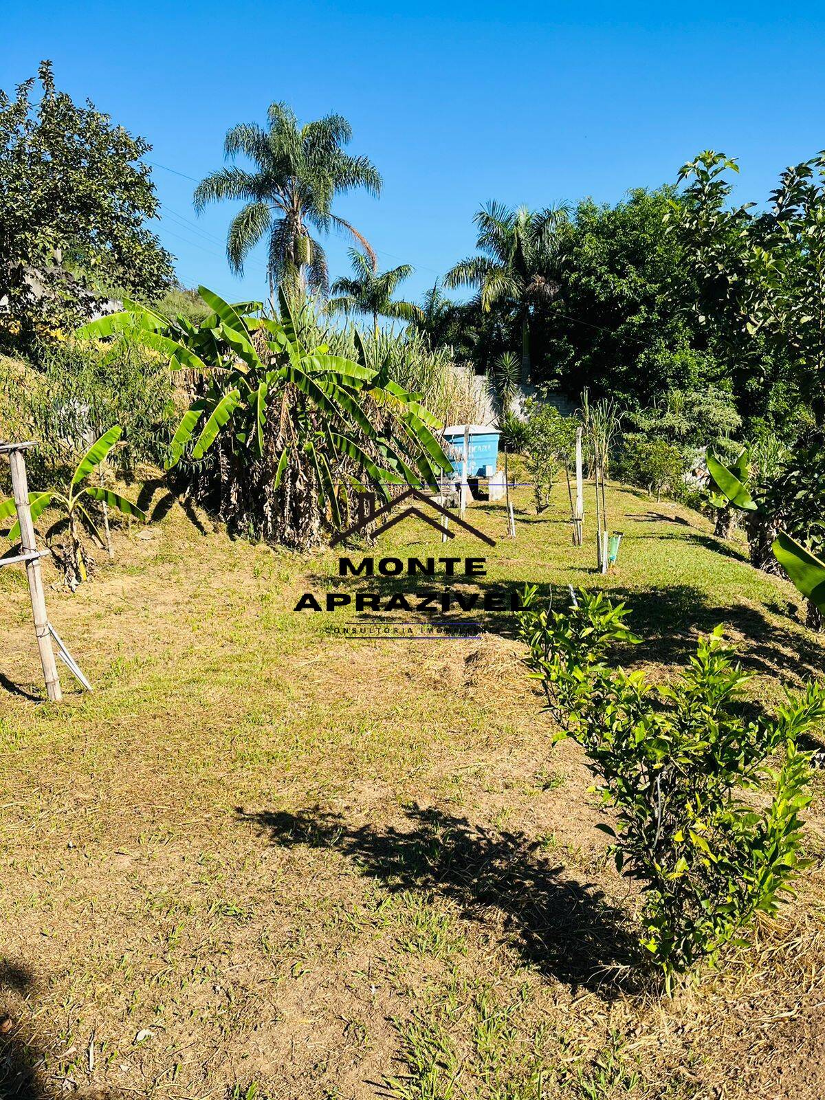 Fazenda à venda com 4 quartos, 12000m² - Foto 28