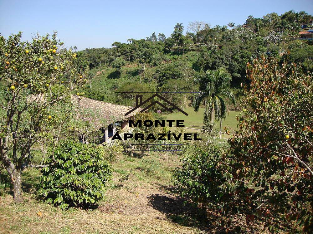 Fazenda à venda com 4 quartos, 12000m² - Foto 32