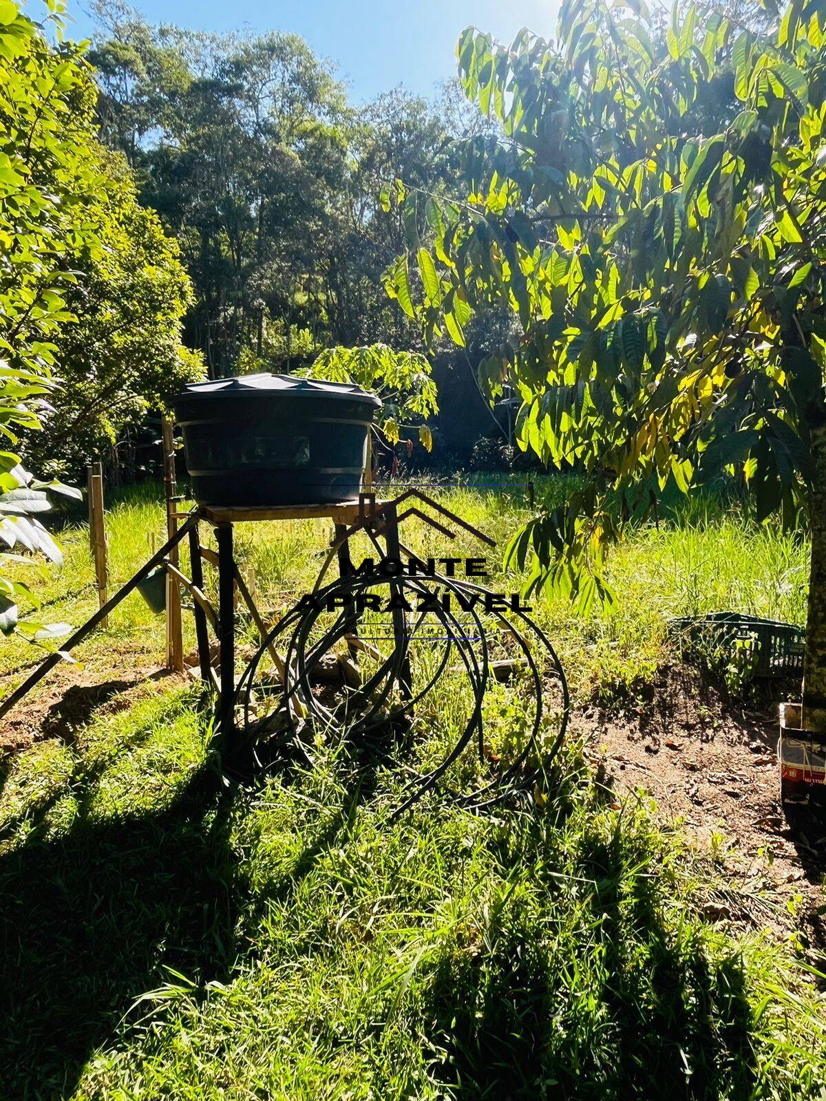 Fazenda à venda com 4 quartos, 12000m² - Foto 34