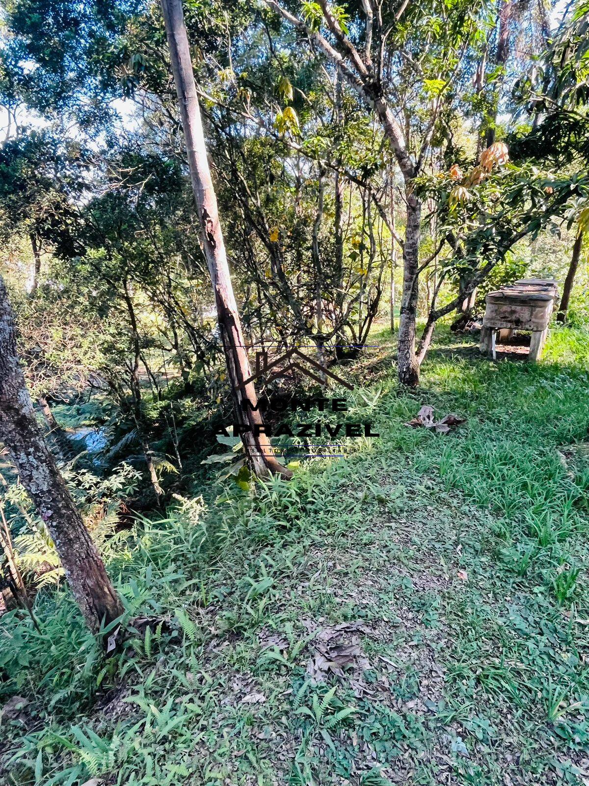 Fazenda à venda com 4 quartos, 12000m² - Foto 35