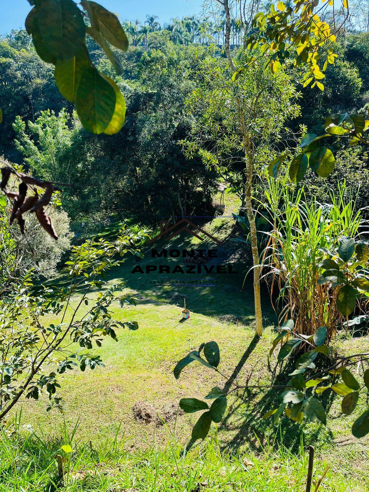 Fazenda à venda com 4 quartos, 12000m² - Foto 40