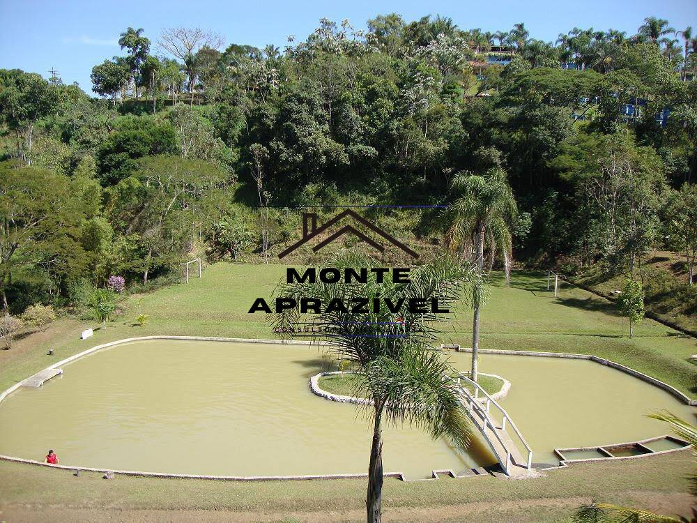 Fazenda à venda com 4 quartos, 12000m² - Foto 45