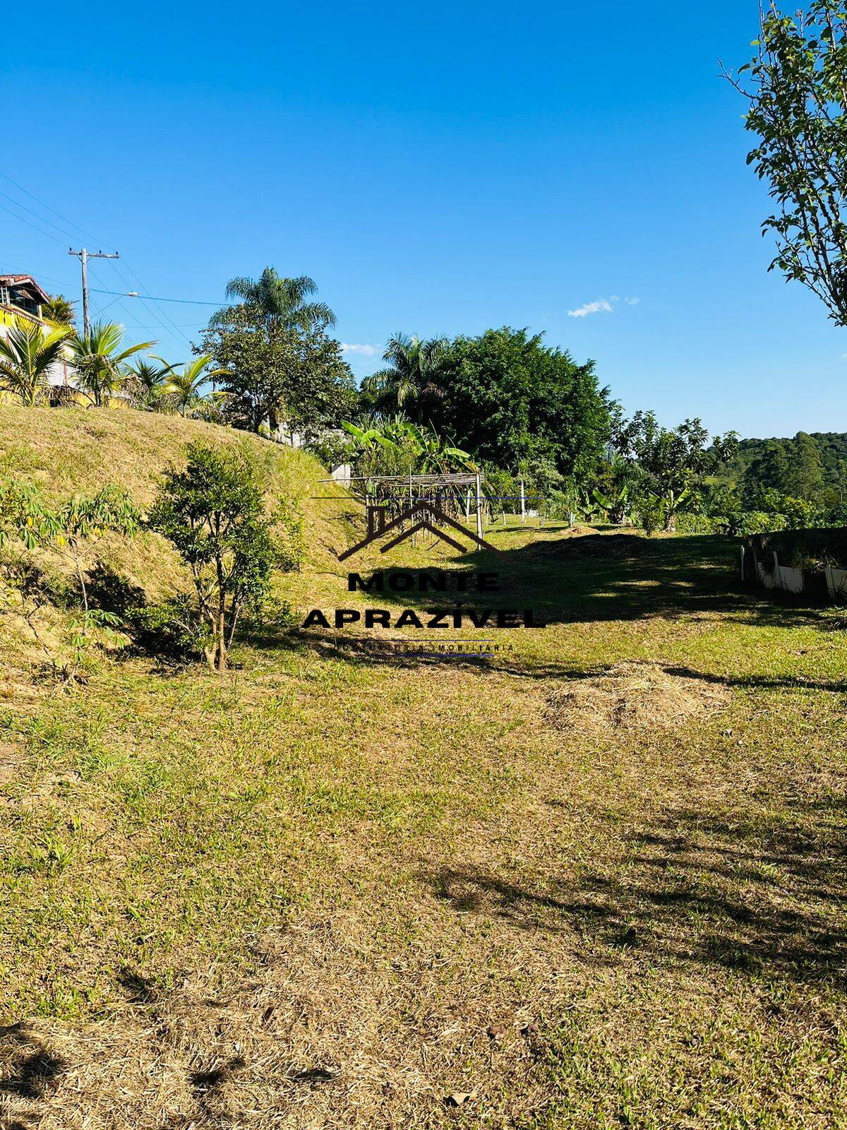 Fazenda à venda com 4 quartos, 12000m² - Foto 48