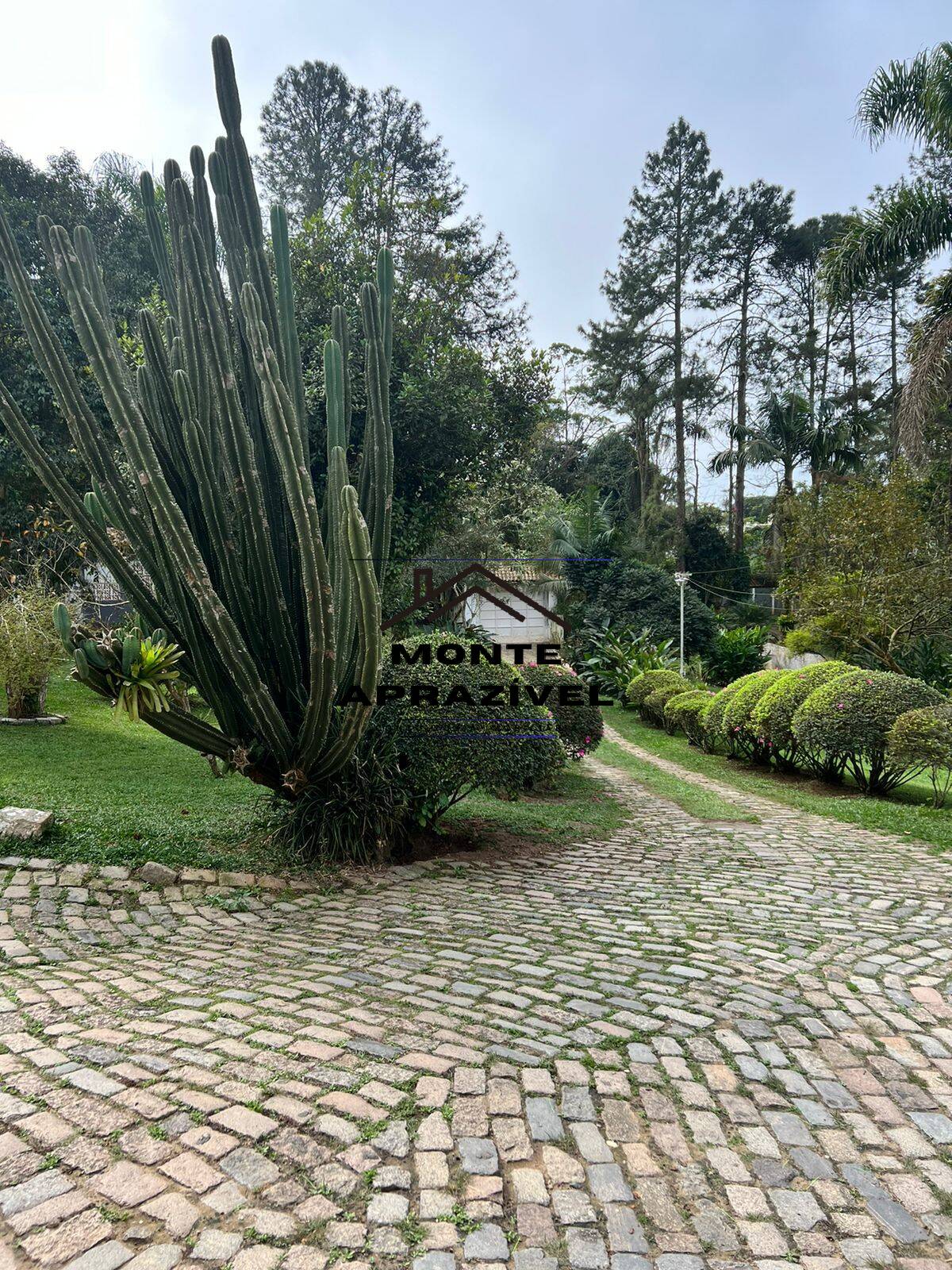 Fazenda à venda com 3 quartos, 3000m² - Foto 7