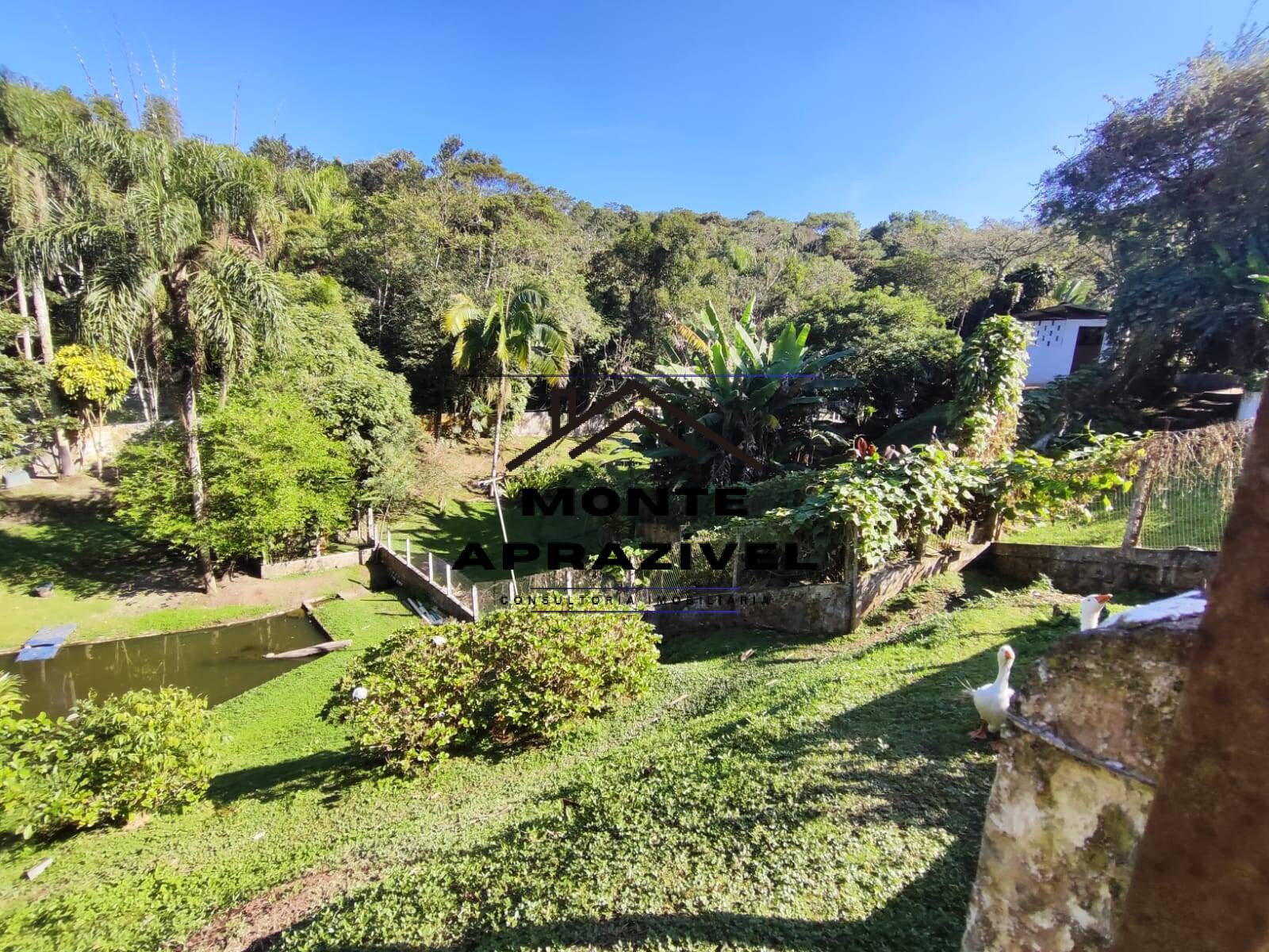 Fazenda à venda com 3 quartos, 3000m² - Foto 66