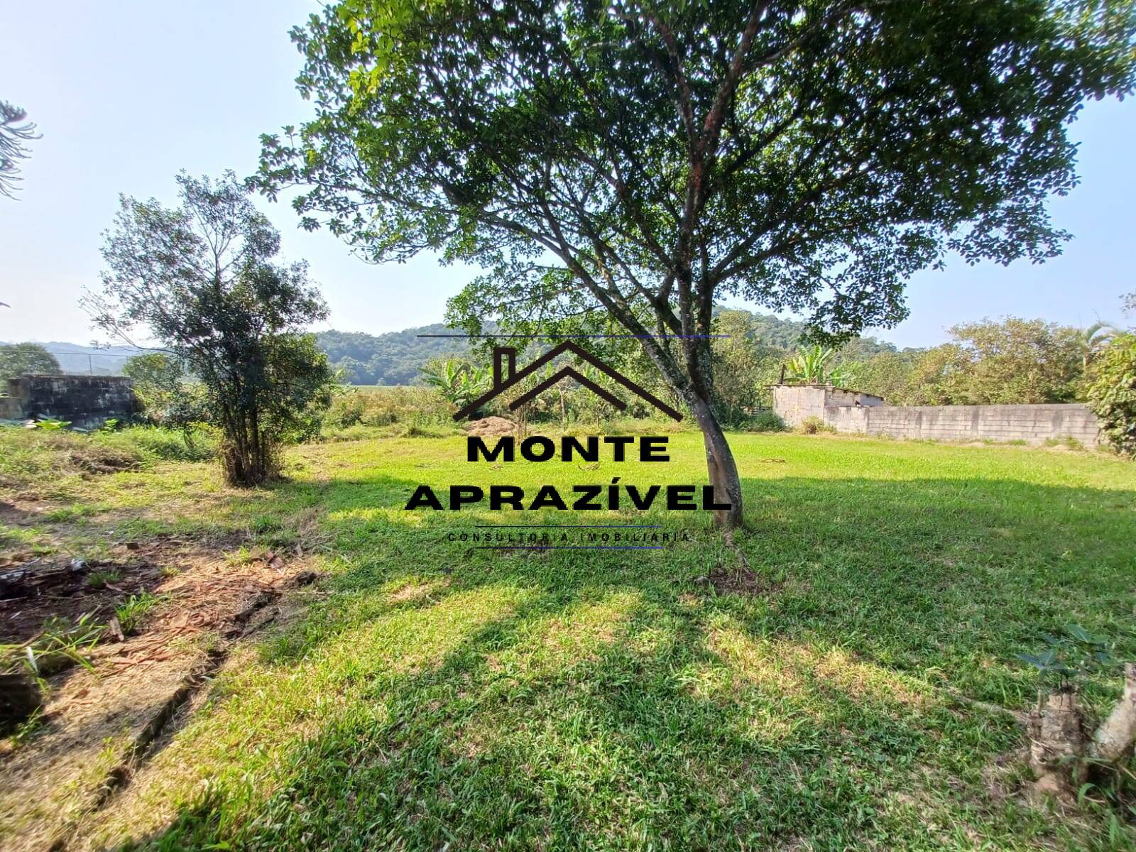 Fazenda à venda com 6 quartos, 5000m² - Foto 31