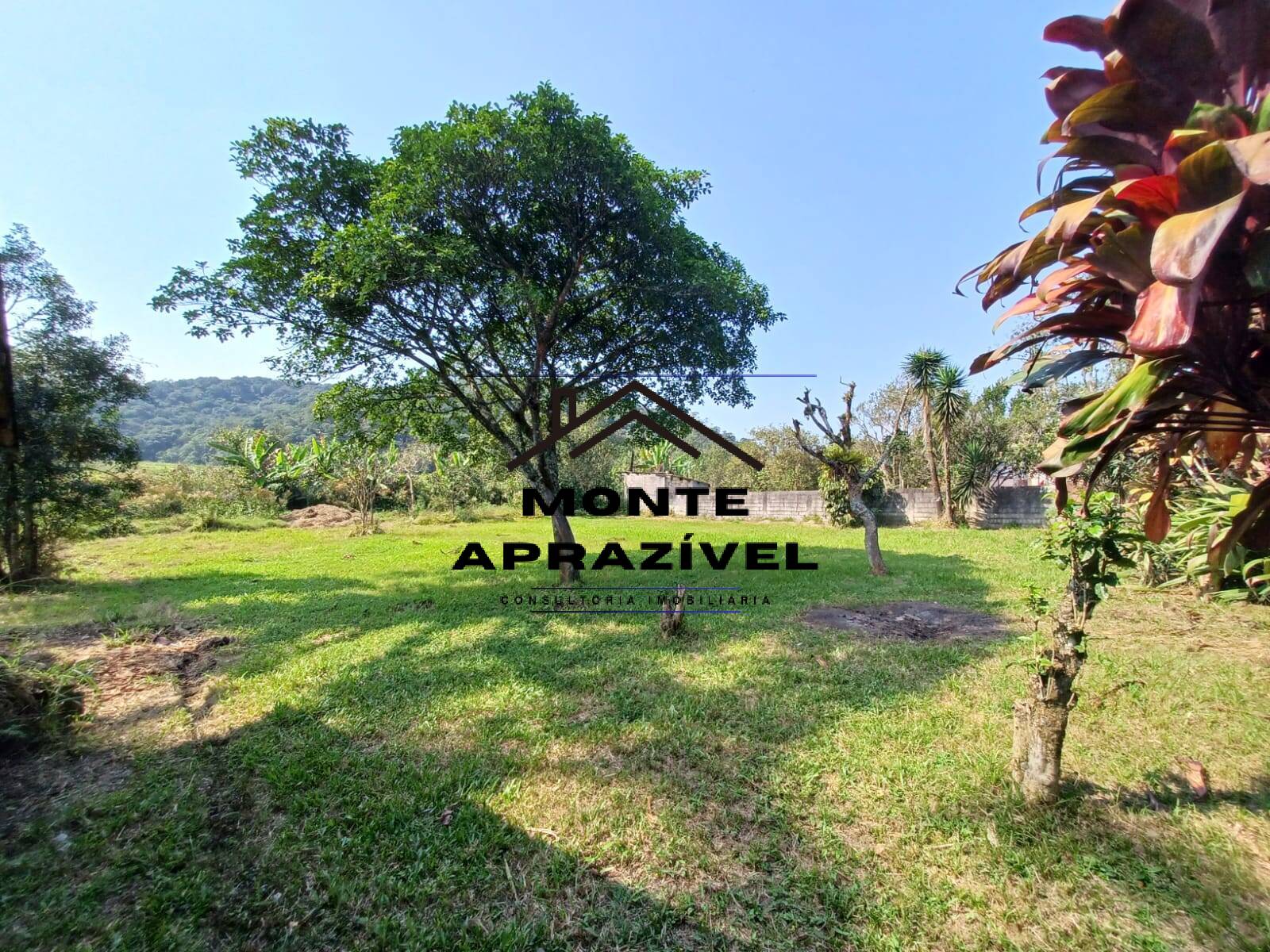 Fazenda à venda com 6 quartos, 5000m² - Foto 57