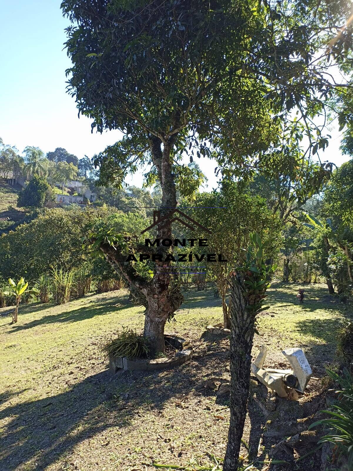 Fazenda à venda com 1 quarto, 4200m² - Foto 3