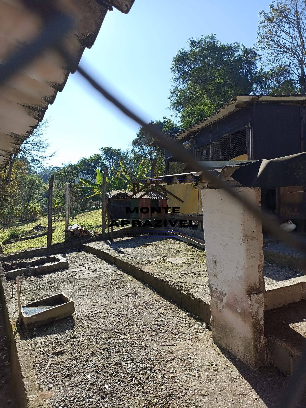 Fazenda à venda com 1 quarto, 4200m² - Foto 6