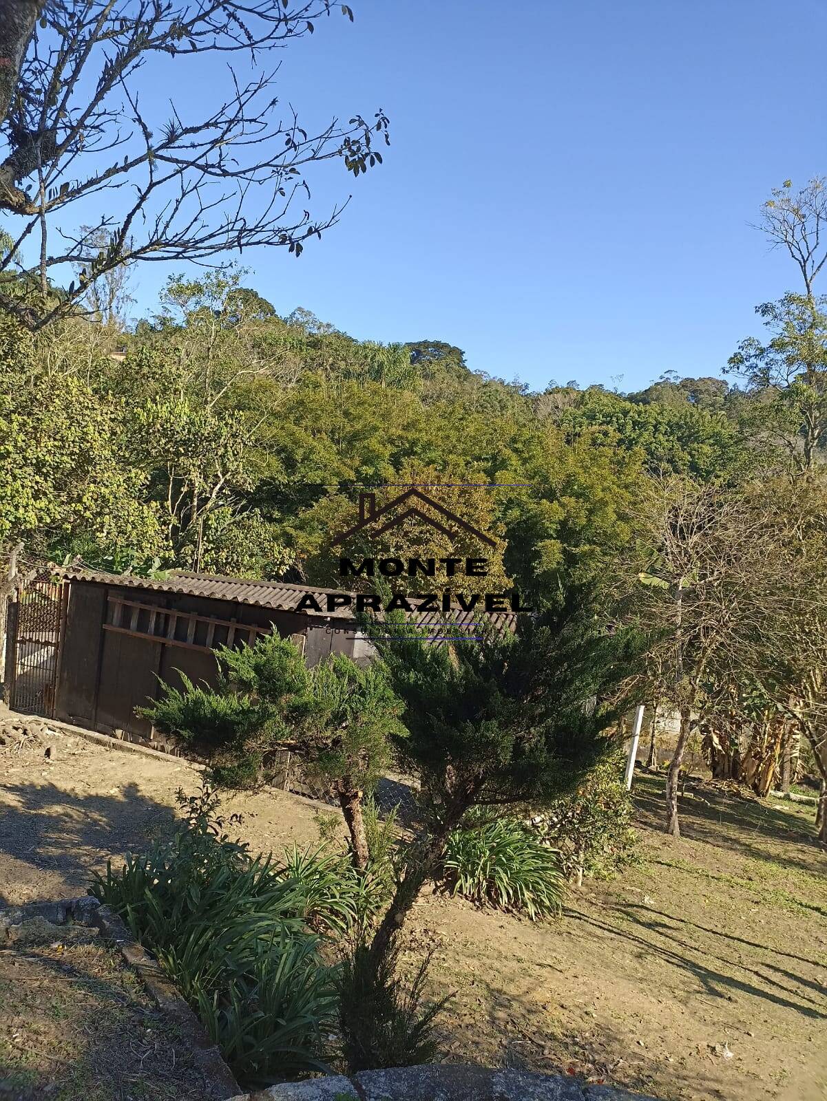 Fazenda à venda com 1 quarto, 4200m² - Foto 7