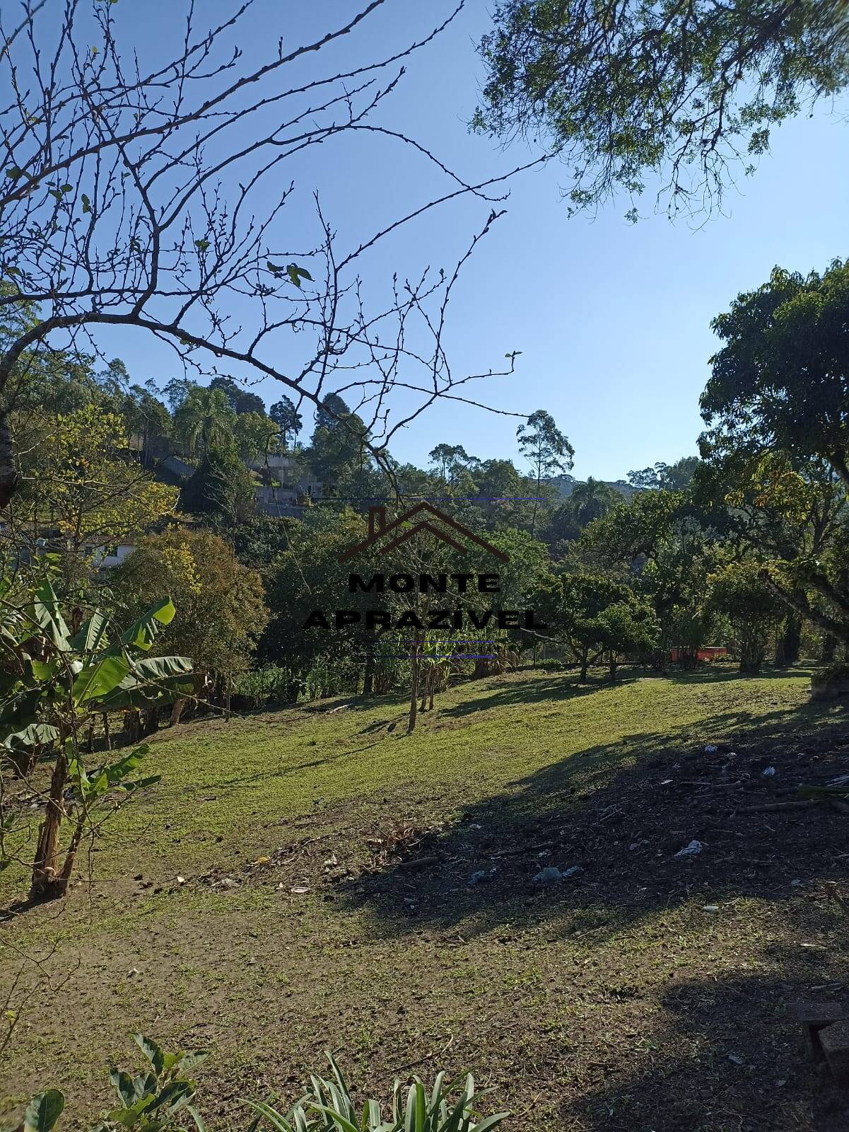 Fazenda à venda com 1 quarto, 4200m² - Foto 8