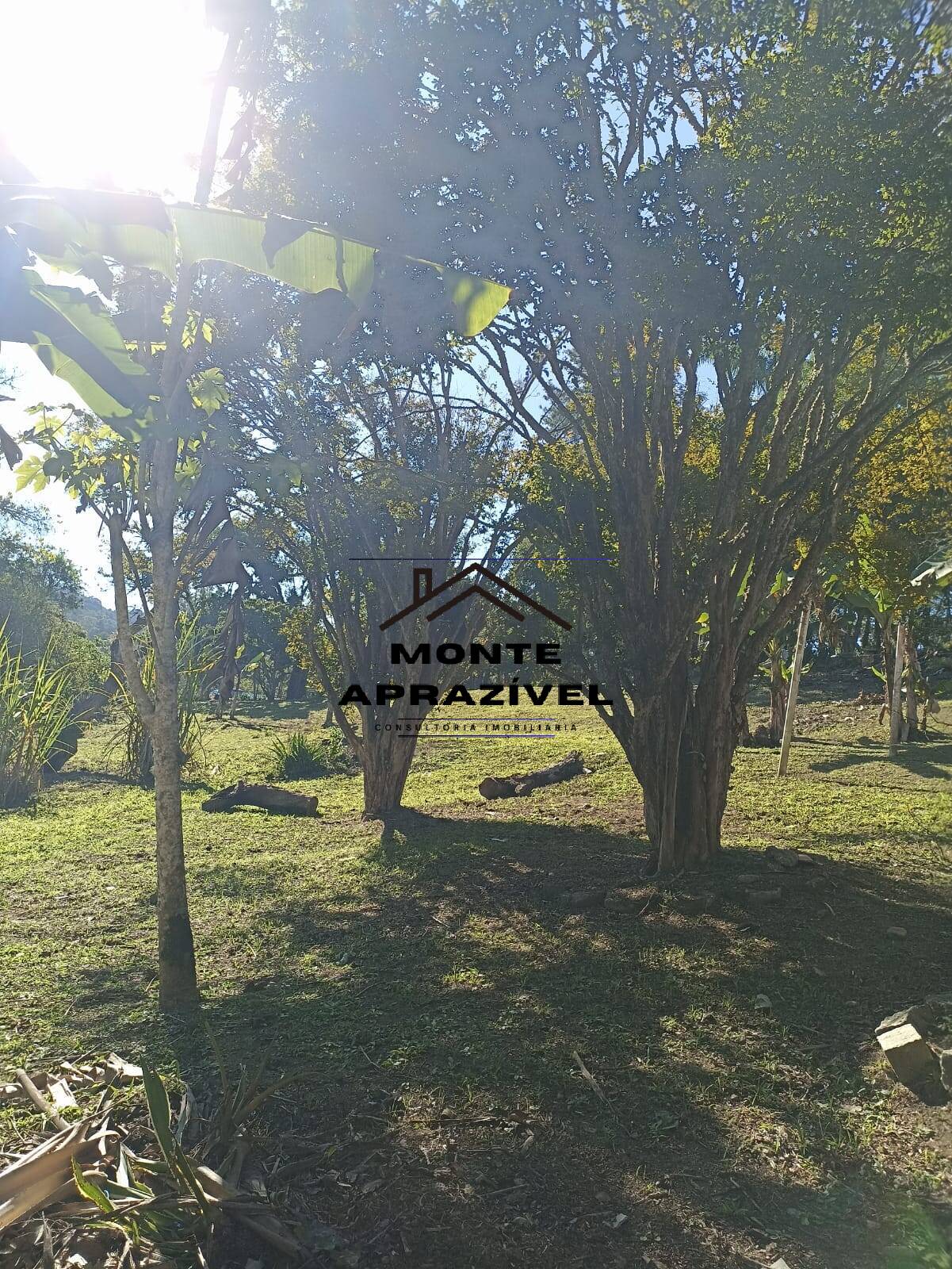 Fazenda à venda com 1 quarto, 4200m² - Foto 10