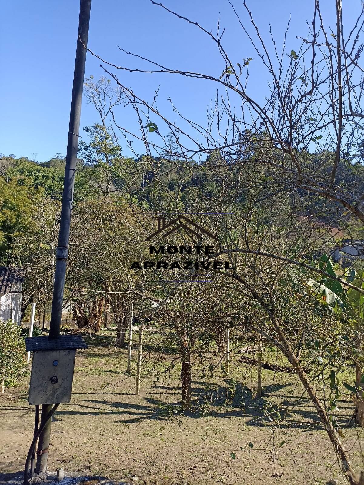 Fazenda à venda com 1 quarto, 4200m² - Foto 22