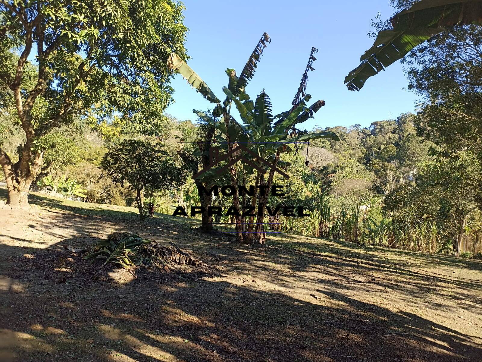 Fazenda à venda com 1 quarto, 4200m² - Foto 27