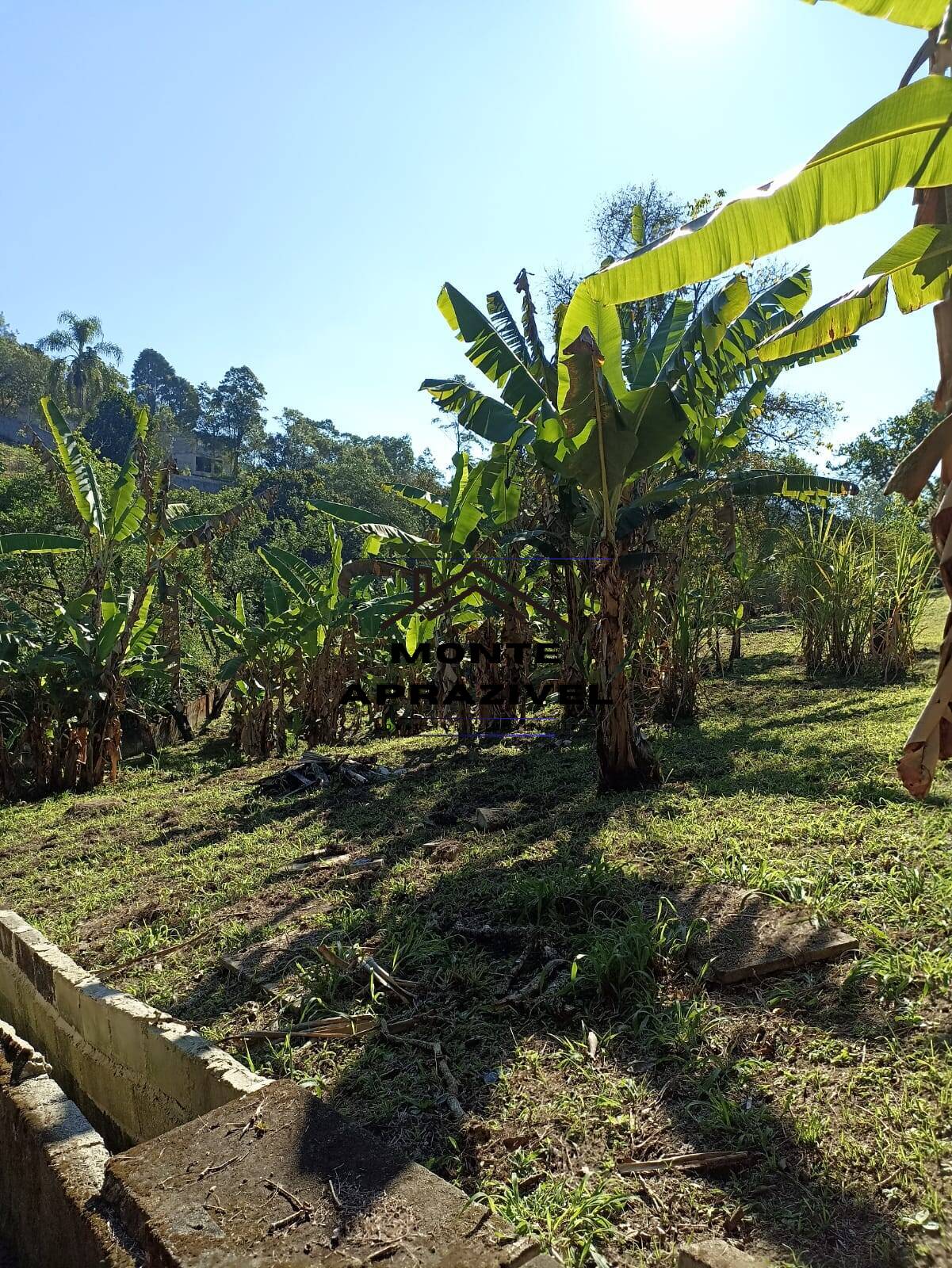 Fazenda à venda com 1 quarto, 4200m² - Foto 26