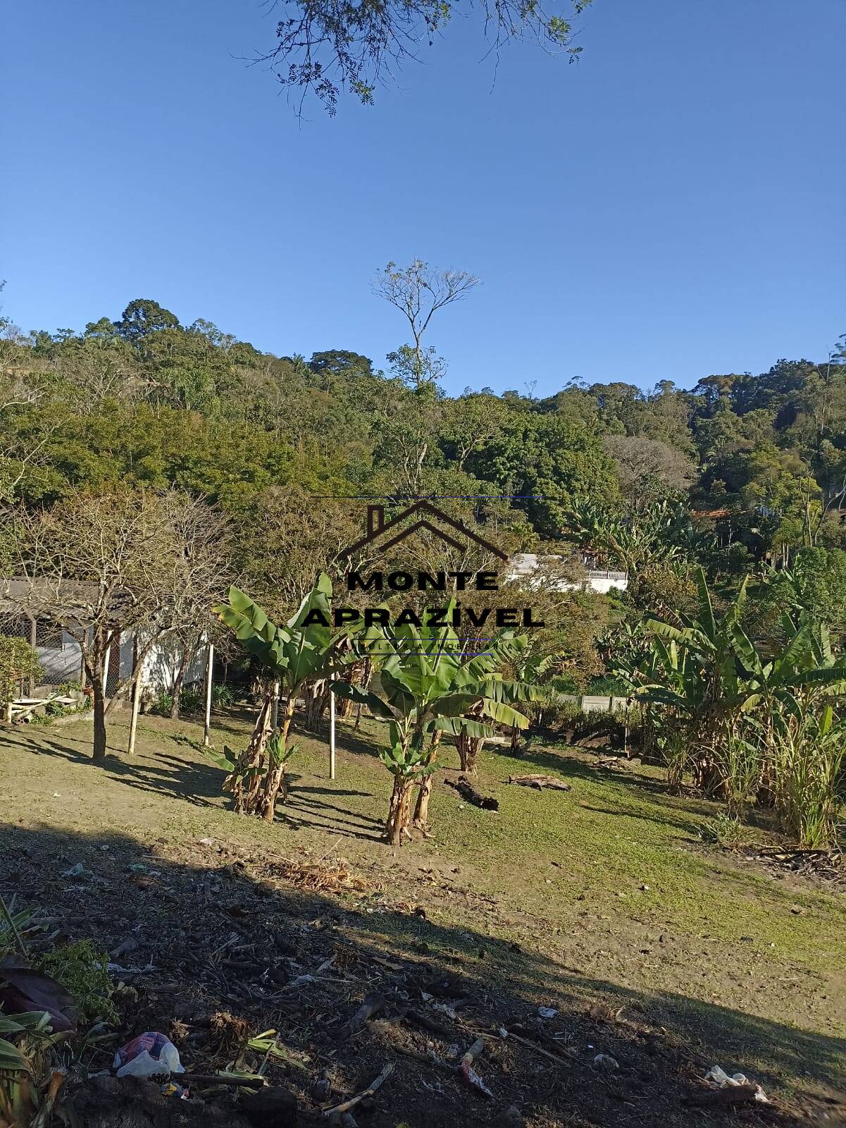 Fazenda à venda com 1 quarto, 4200m² - Foto 29