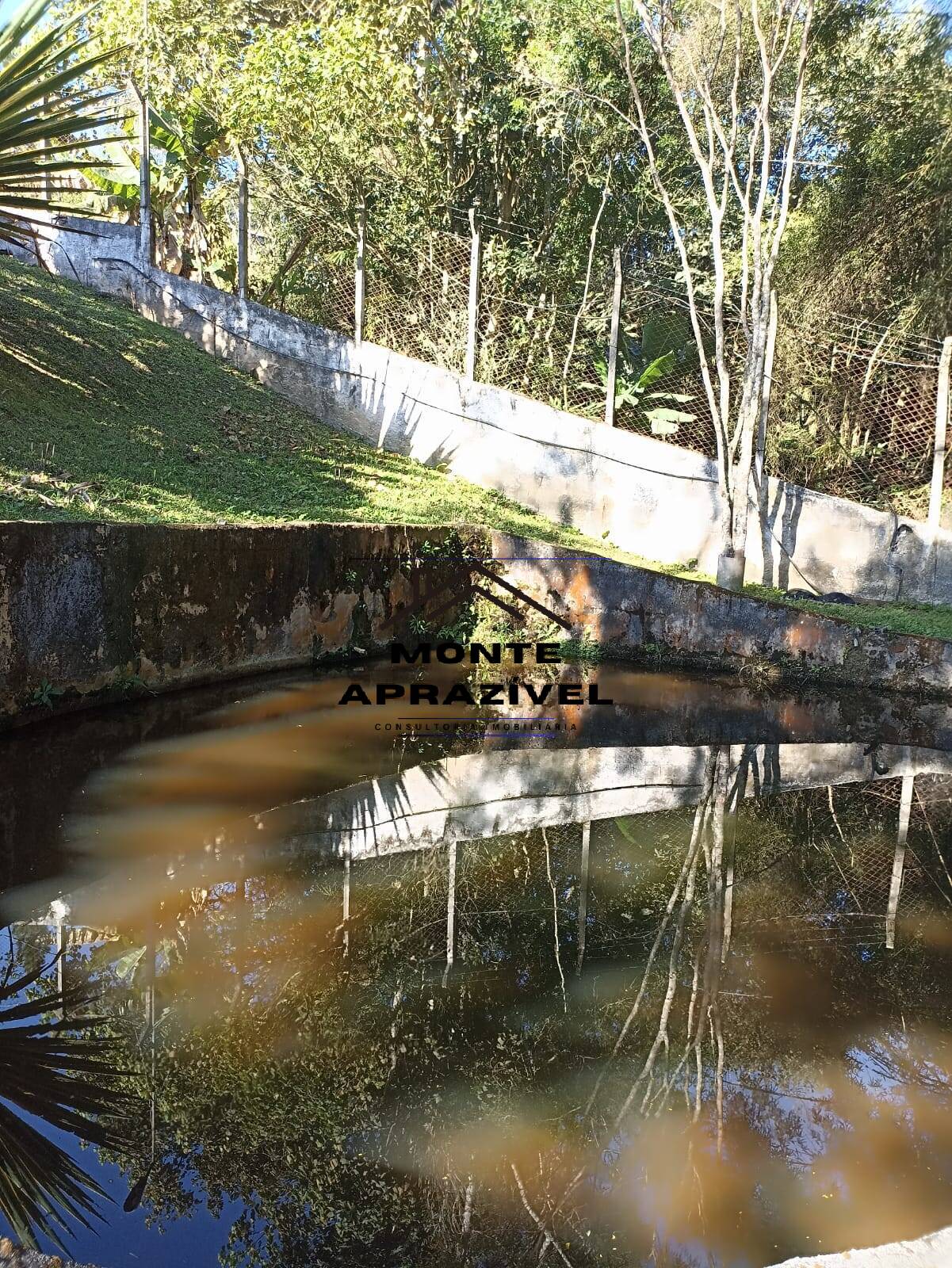 Fazenda à venda com 1 quarto, 4200m² - Foto 34