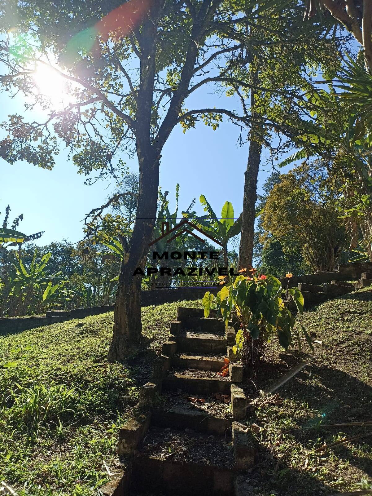 Fazenda à venda com 1 quarto, 4200m² - Foto 38