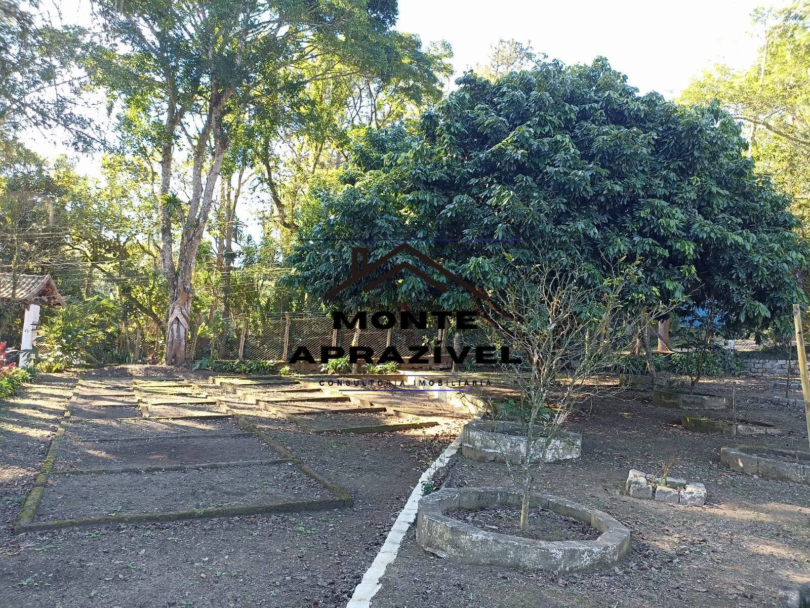 Fazenda à venda com 1 quarto, 4200m² - Foto 44