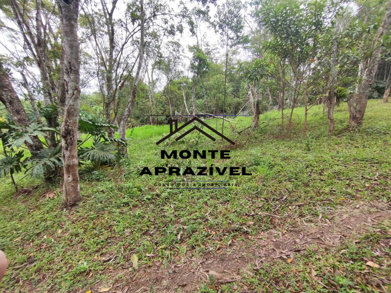 Fazenda à venda com 4 quartos, 200m² - Foto 32