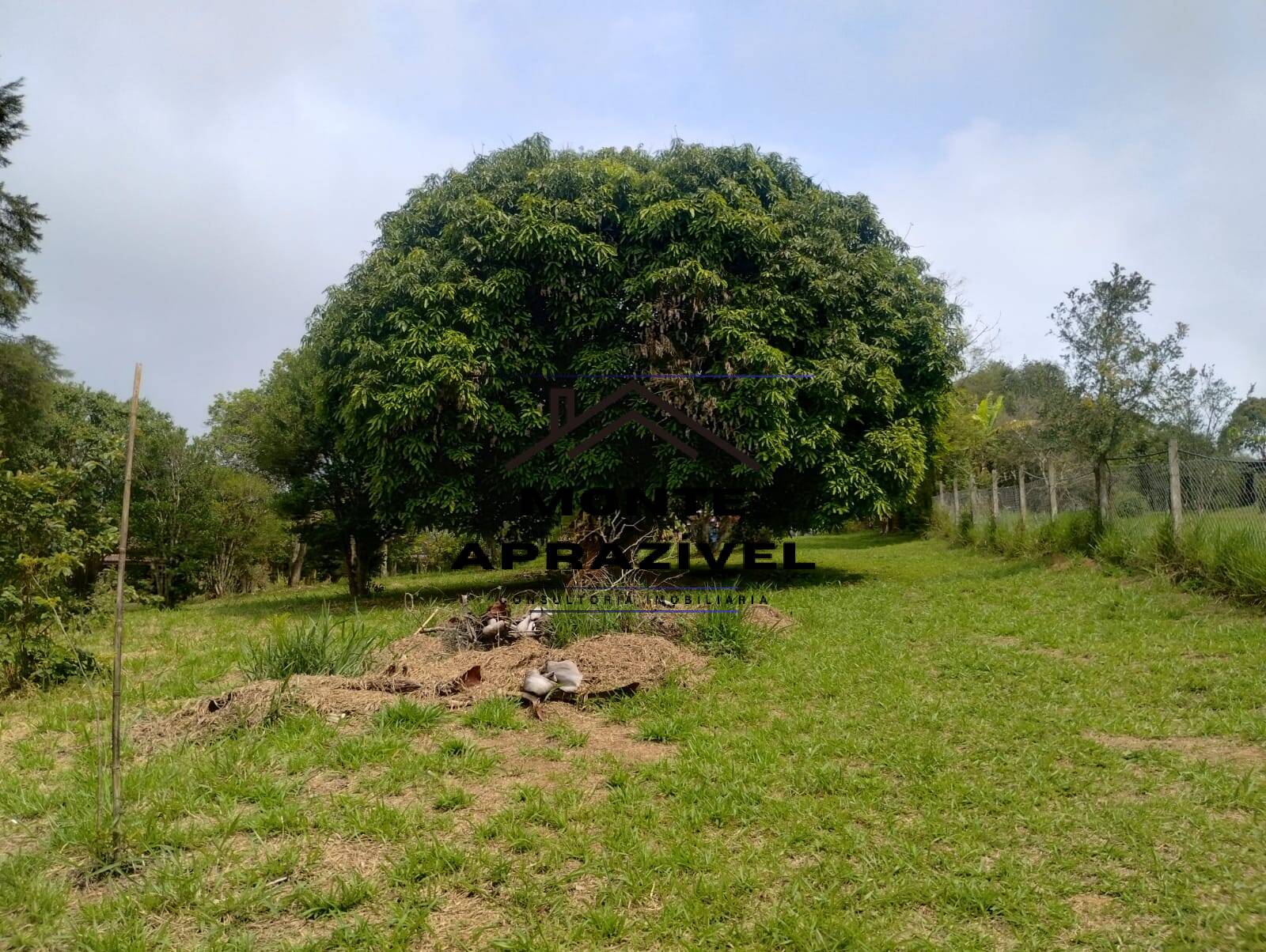 Fazenda à venda com 4 quartos, 5400m² - Foto 41