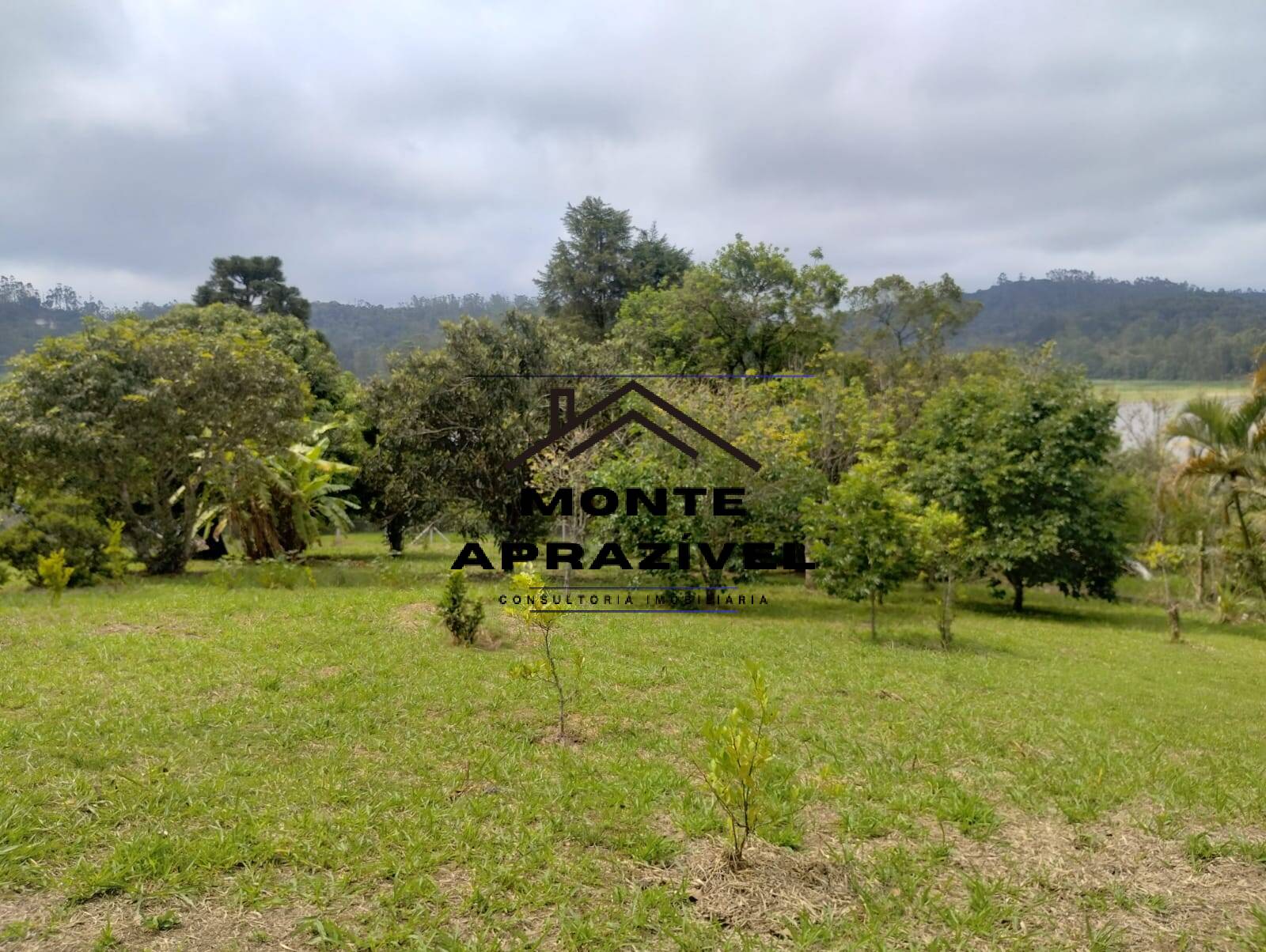 Fazenda à venda com 4 quartos, 5400m² - Foto 52