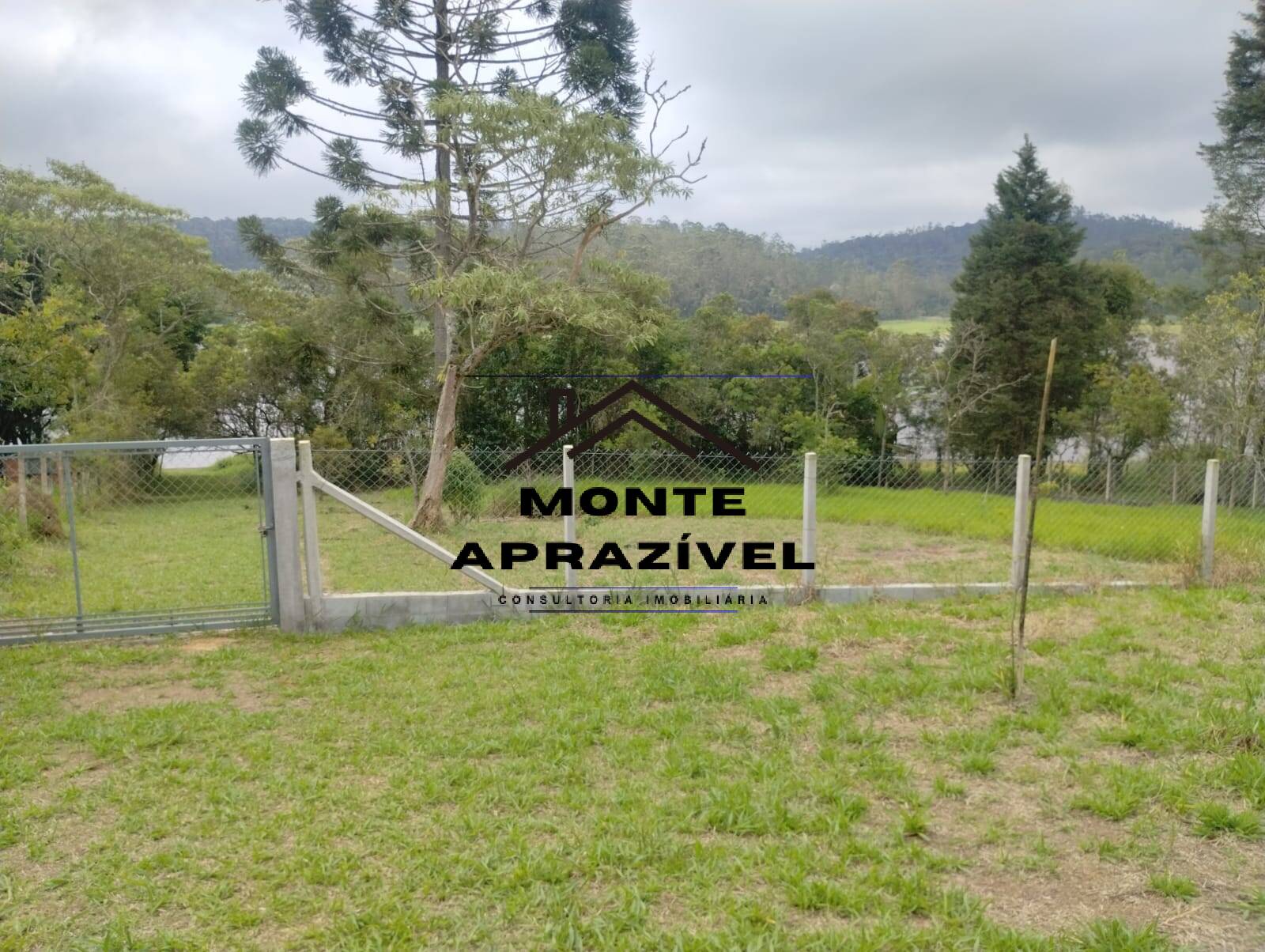 Fazenda à venda com 4 quartos, 5400m² - Foto 53