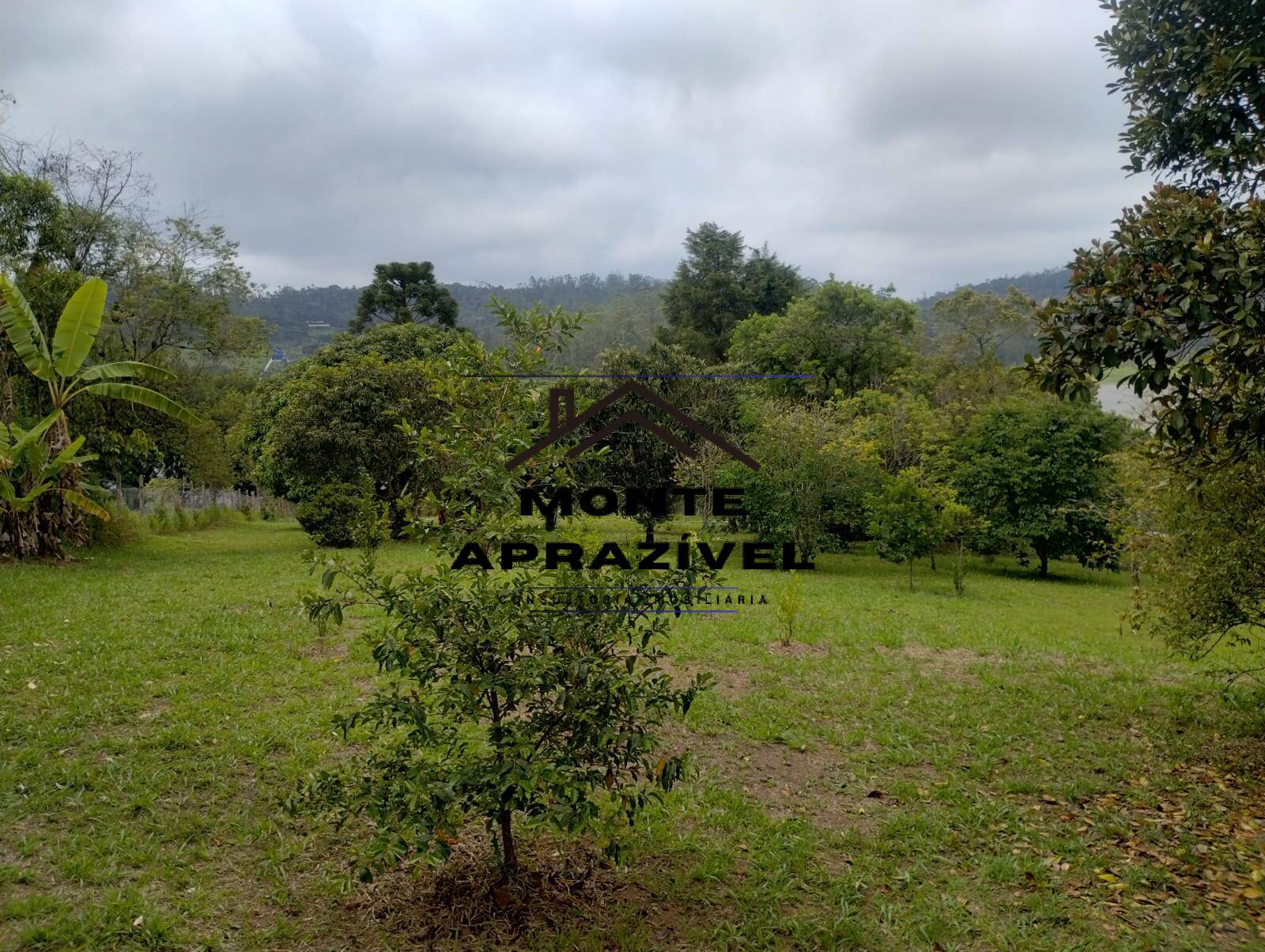 Fazenda à venda com 4 quartos, 5400m² - Foto 59