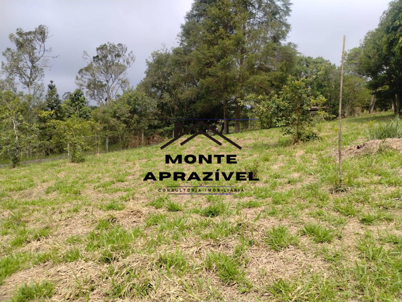 Fazenda à venda com 4 quartos, 5400m² - Foto 68