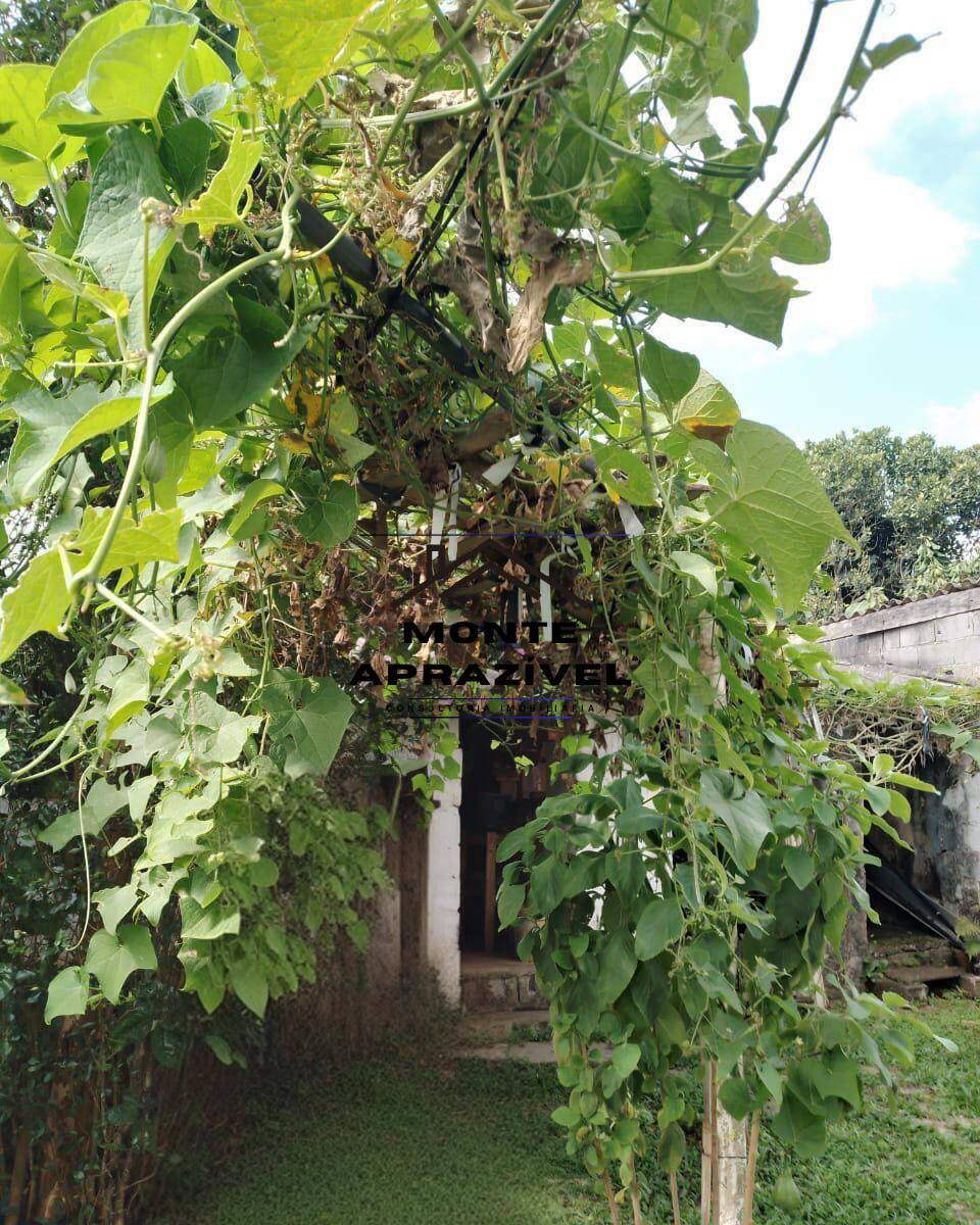 Fazenda à venda com 3 quartos, 800m² - Foto 15