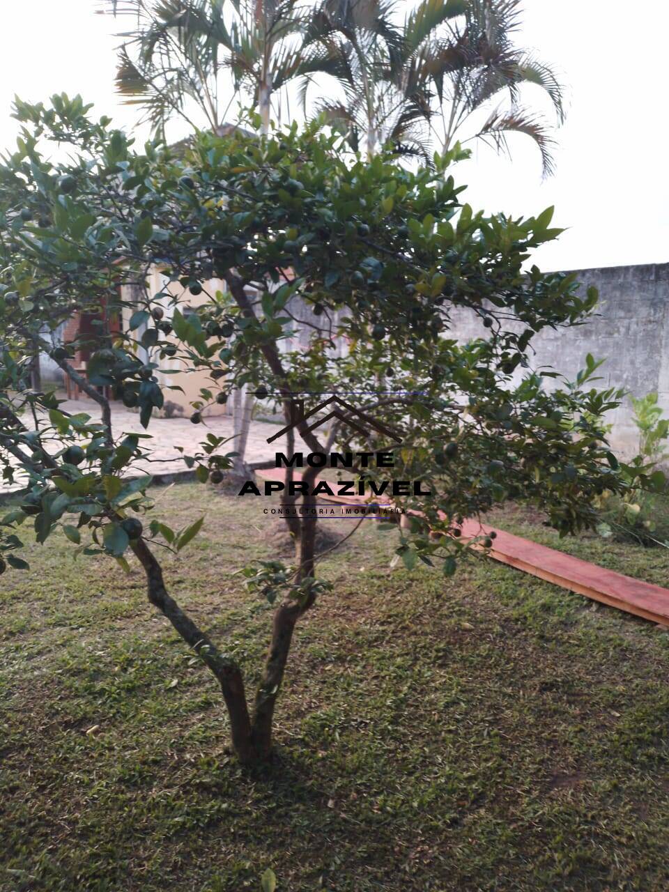 Fazenda à venda com 3 quartos, 800m² - Foto 14