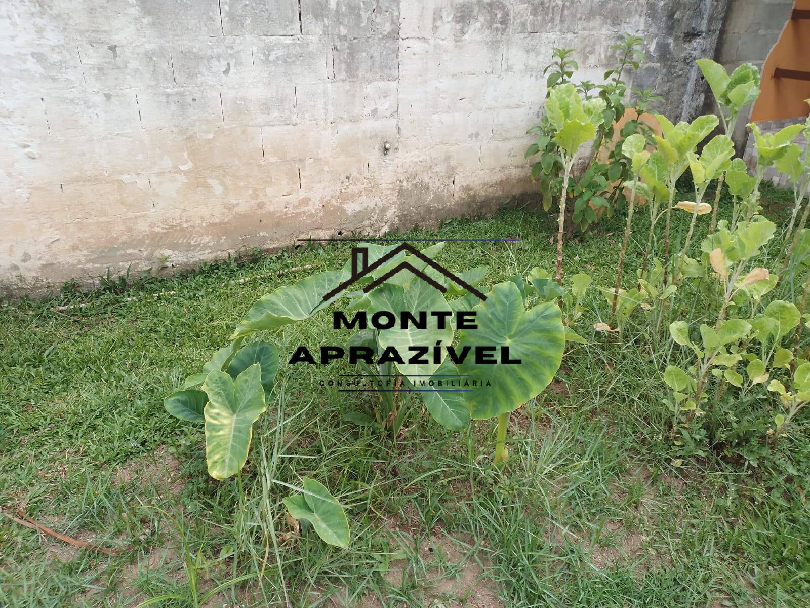 Fazenda à venda com 3 quartos, 800m² - Foto 16