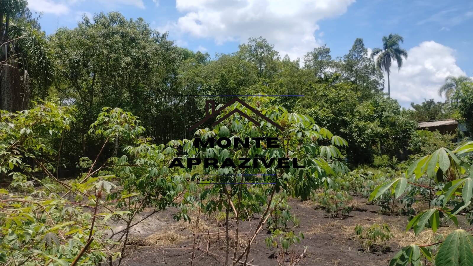 Fazenda à venda com 4 quartos, 1200m² - Foto 31