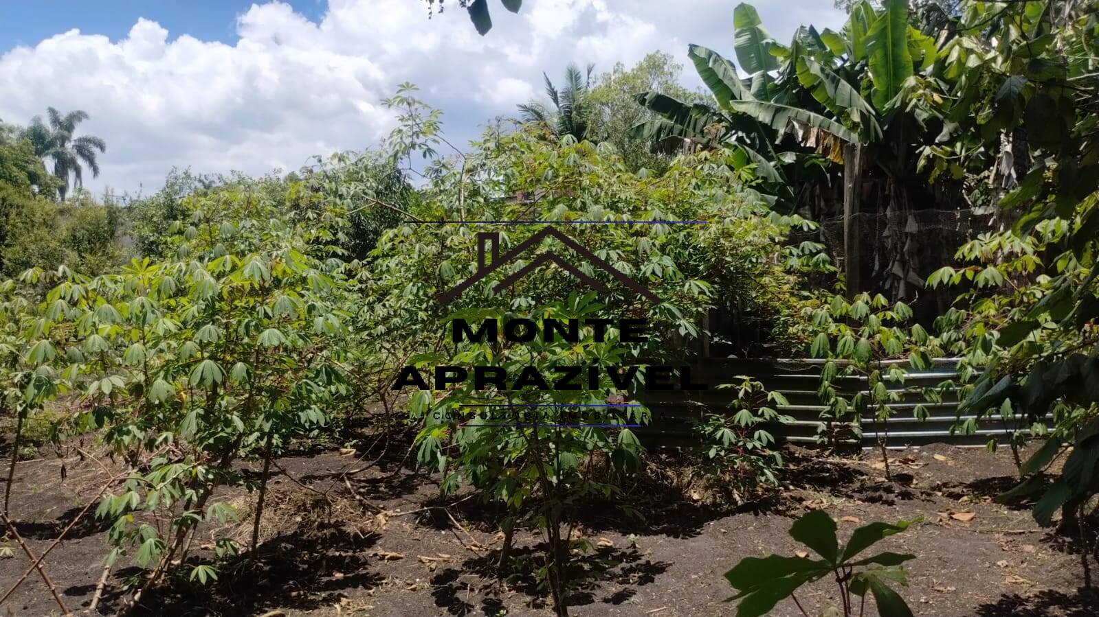 Fazenda à venda com 4 quartos, 1200m² - Foto 36