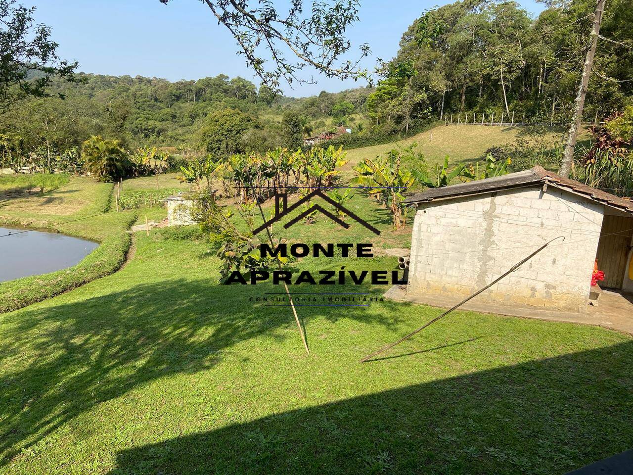 Fazenda à venda com 3 quartos, 13000m² - Foto 10