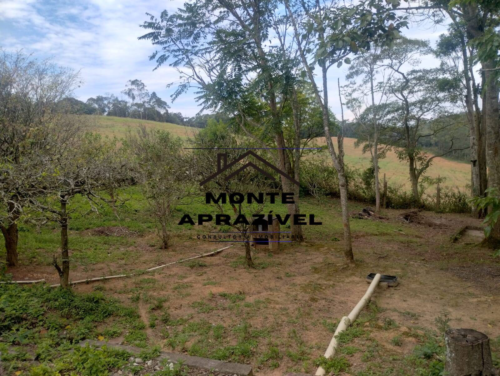 Fazenda à venda com 3 quartos, 2005m² - Foto 21