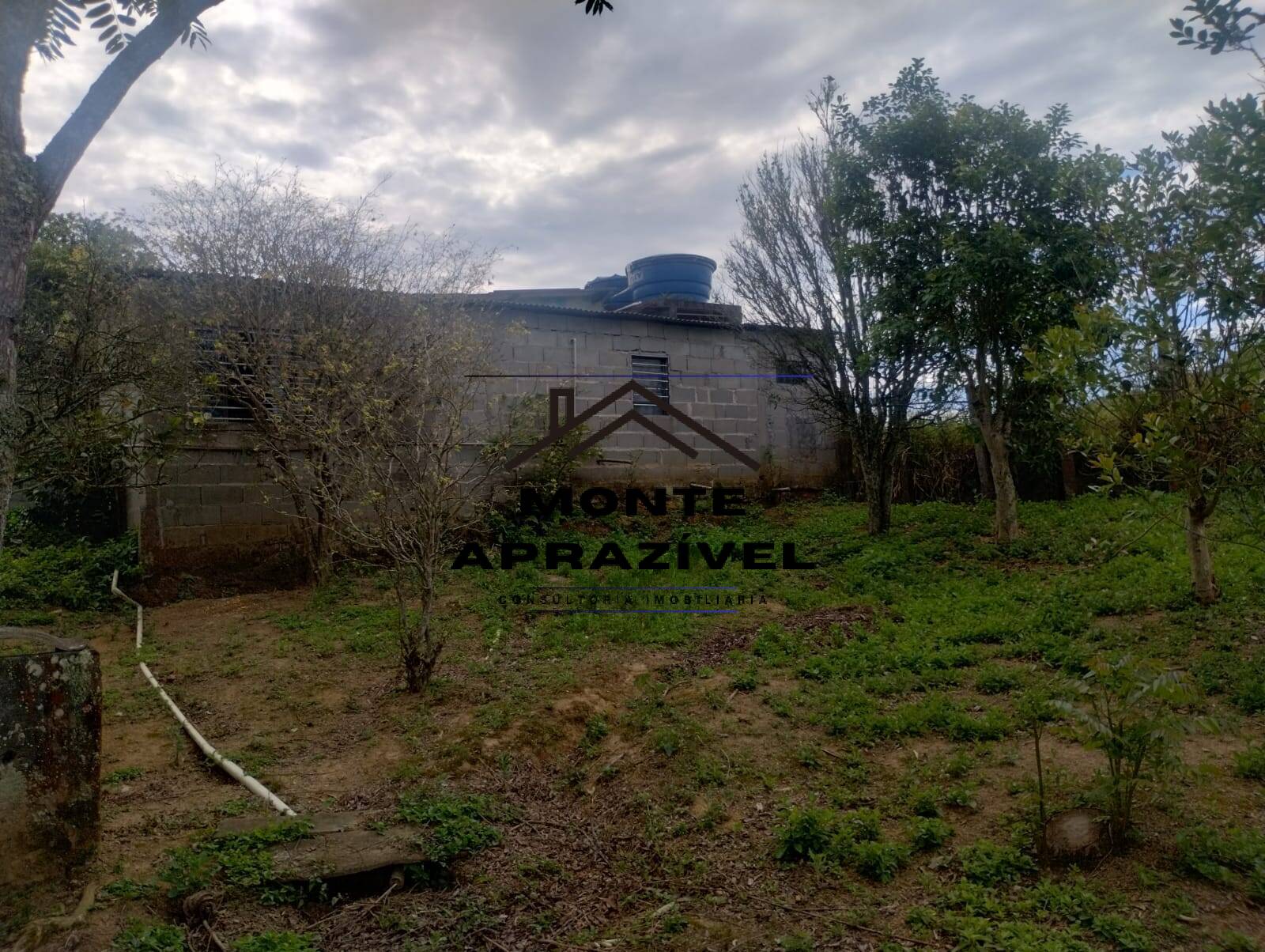 Fazenda à venda com 3 quartos, 2005m² - Foto 54